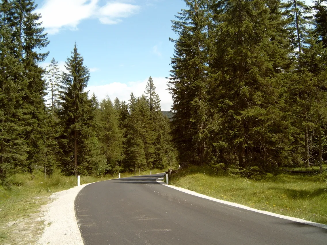 Photo showing: "Buchener Höhe", north ramp near top of the pass