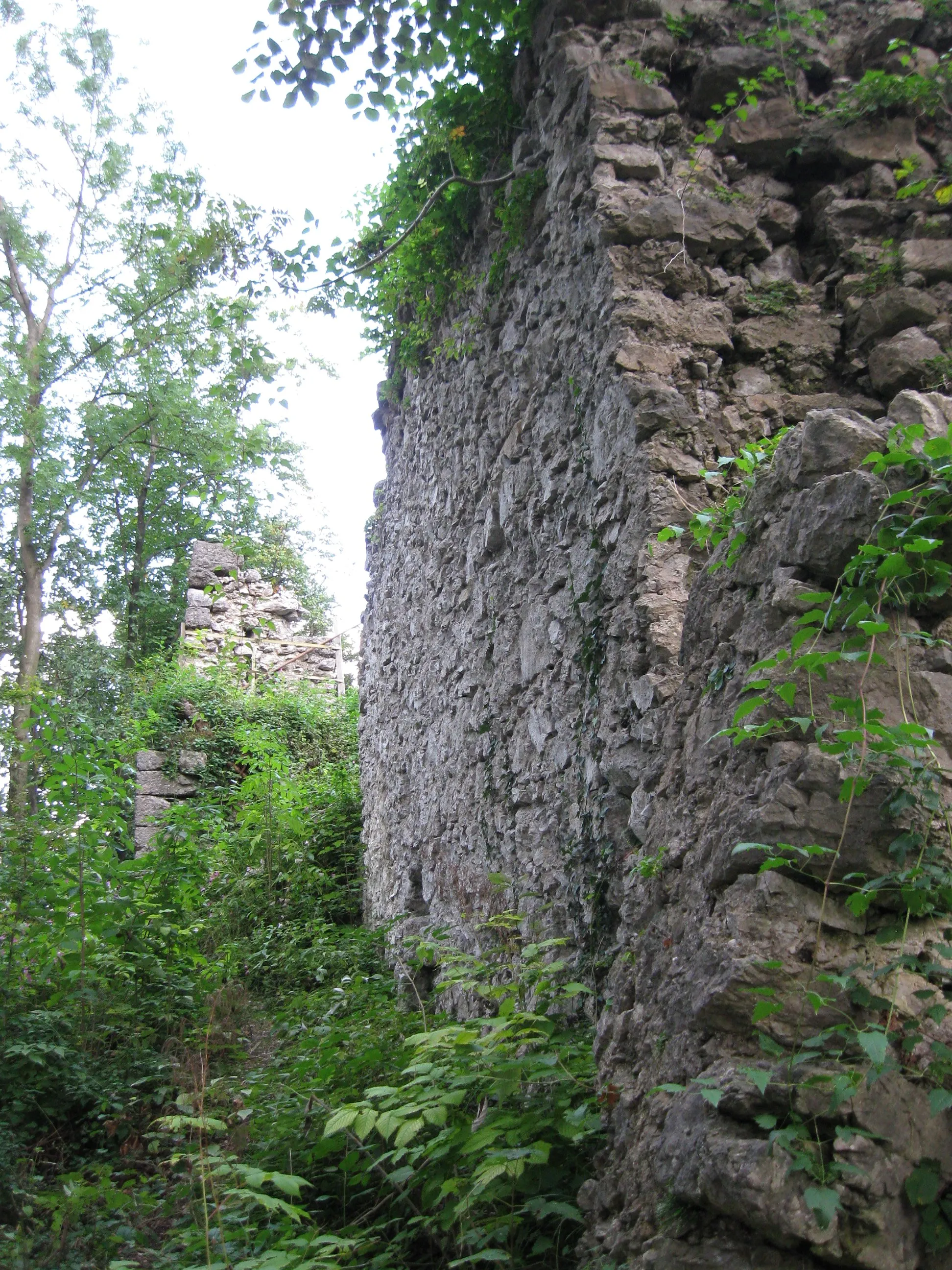 Photo showing: Burgruine Kirnstein, von der 1504 zerstörten Burg Umfassungsmauern
in Teilen und Reste des Palas erhalten, mittelalterlich, 2. Viertel 15. Jh.