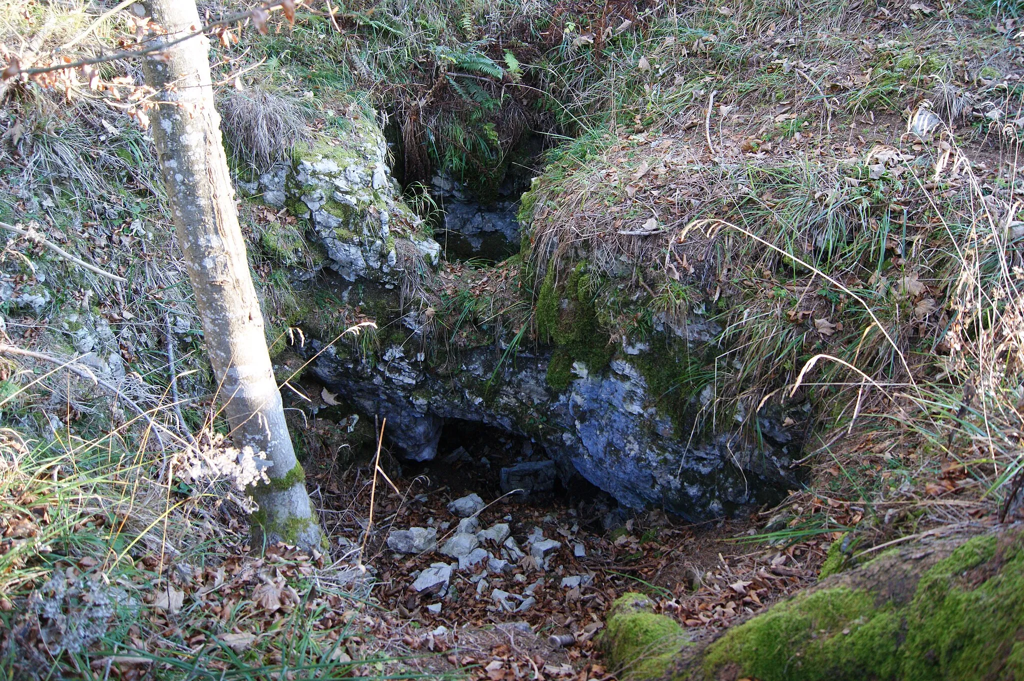 Photo showing: Wildemaennlisloch in Viktorsberg, Vorarlberg, Austria. Two small connected sinkholes (Doline) in the limestone with a small natural bridge.