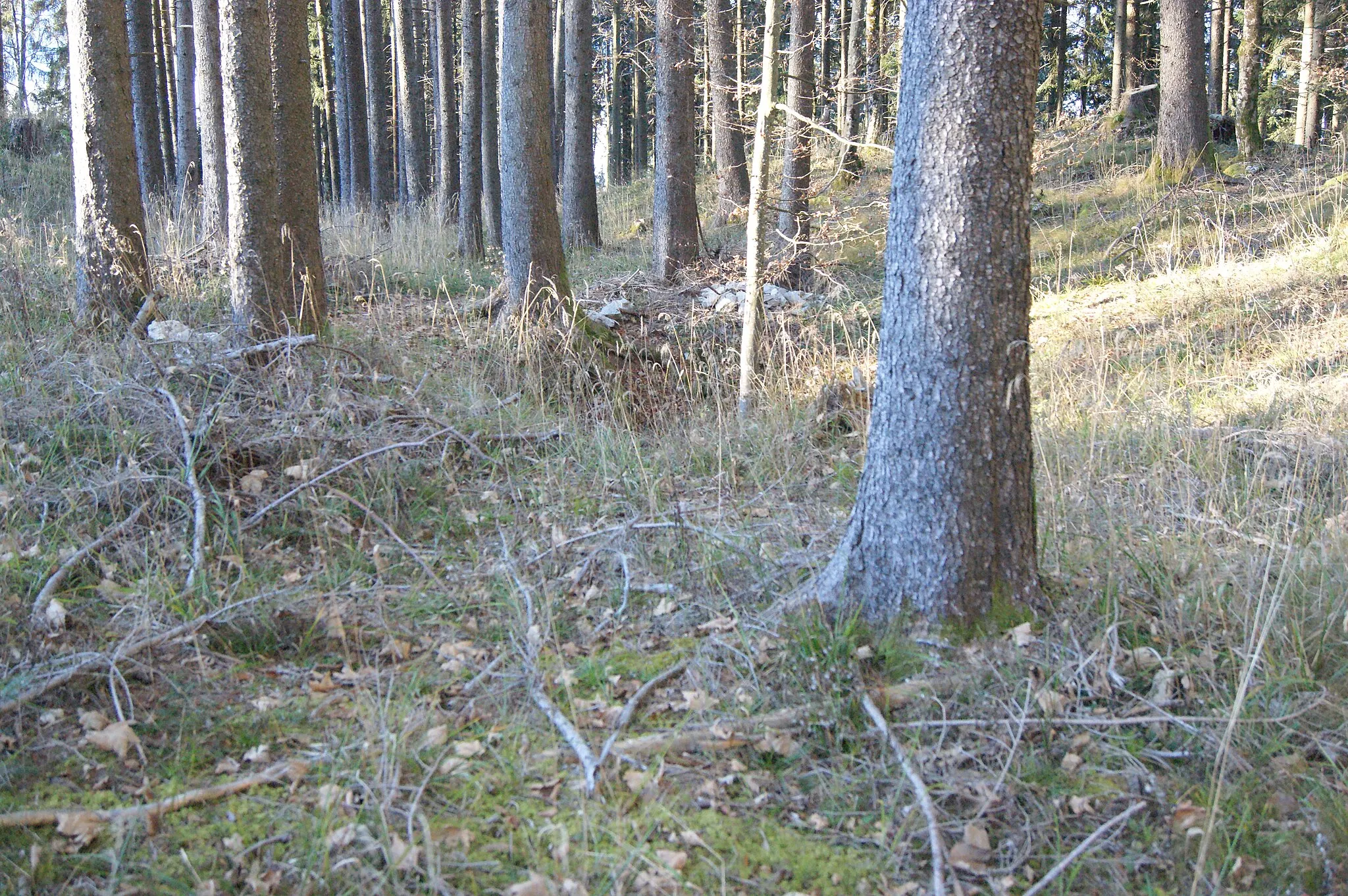 Photo showing: Wildemaennlisloch in Viktorsberg, Vorarlberg, Austria. Two small connected sinkholes (Doline) in the limestone with a small natural bridge.