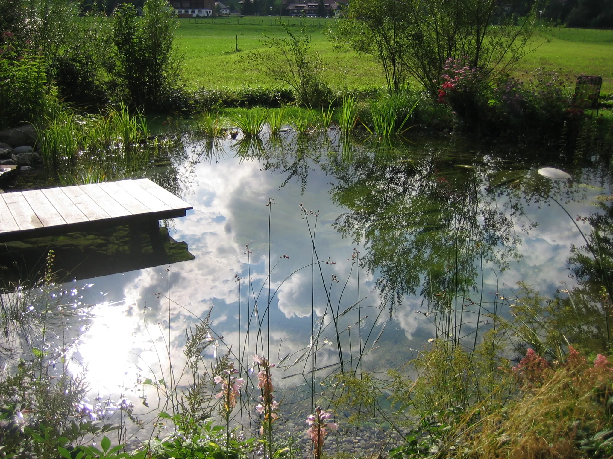 Photo showing: Fischen-Langenwang Am Wiesenbach 2