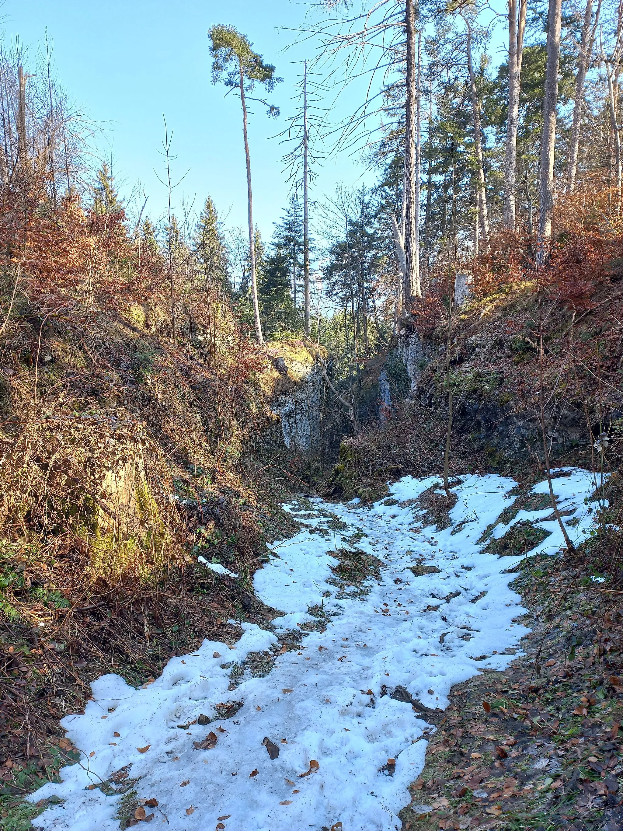 Photo showing: Kuhloch, means: "cattle hole" (doline) in the municipality of Bürs, Vorarlberg, Austria.