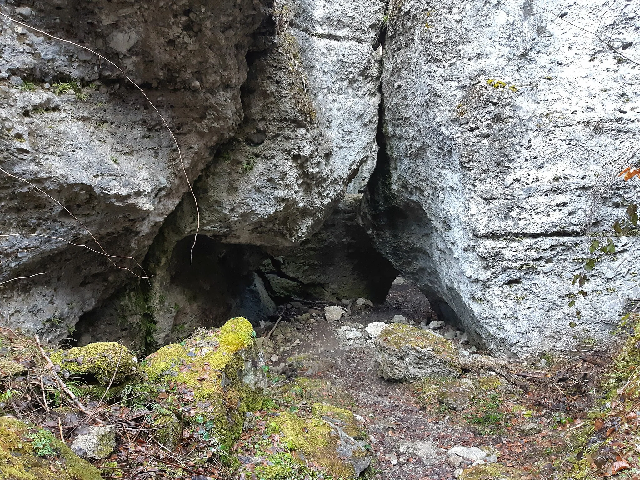 Photo showing: Kuhloch, means: "cattle hole" (doline) in the municipality of Bürs, Vorarlberg, Austria.