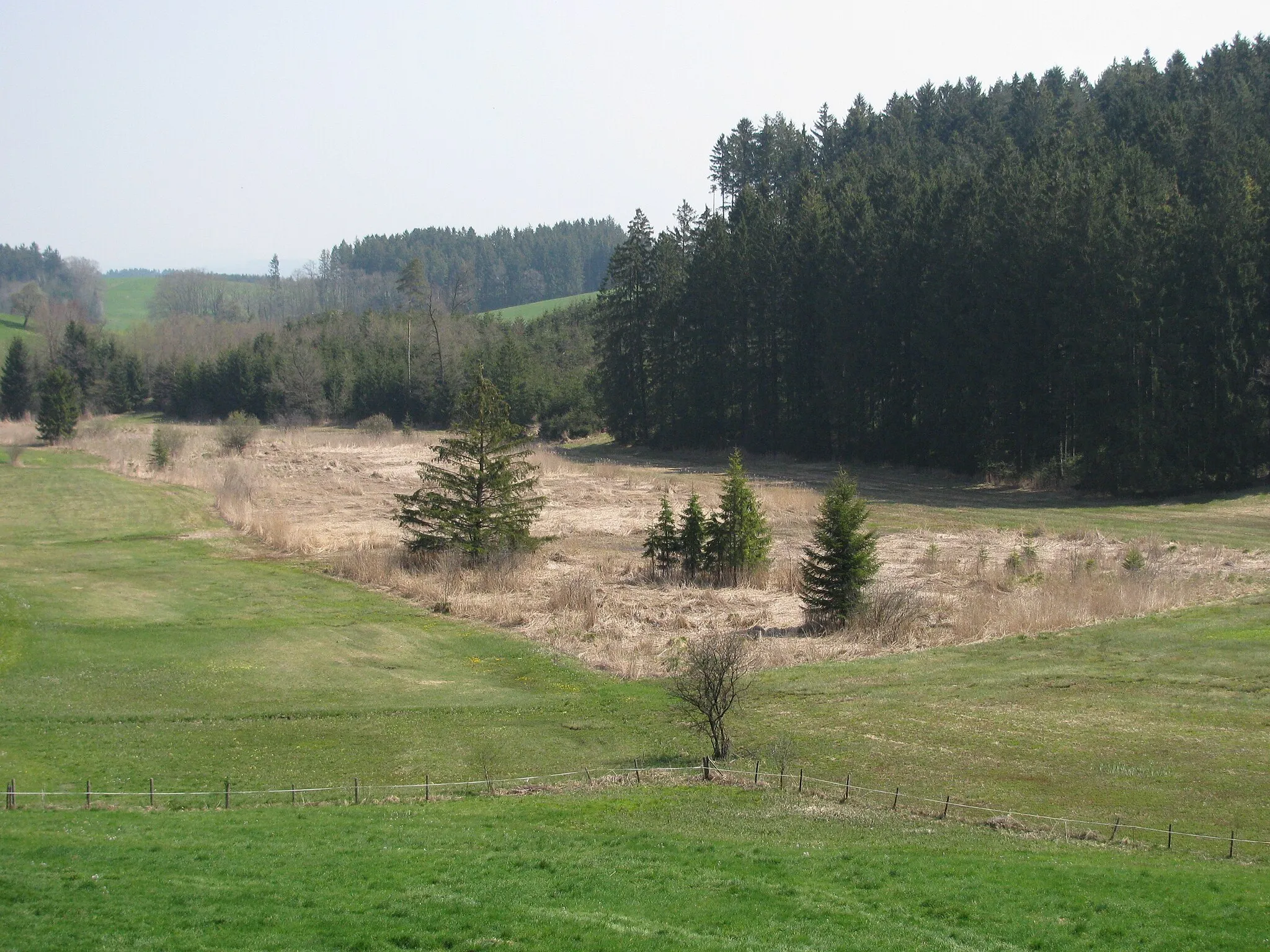 Photo showing: Germany - Baden-Württemberg - Bodenseekreis - Neukirch: nature reserve "Igelsee"