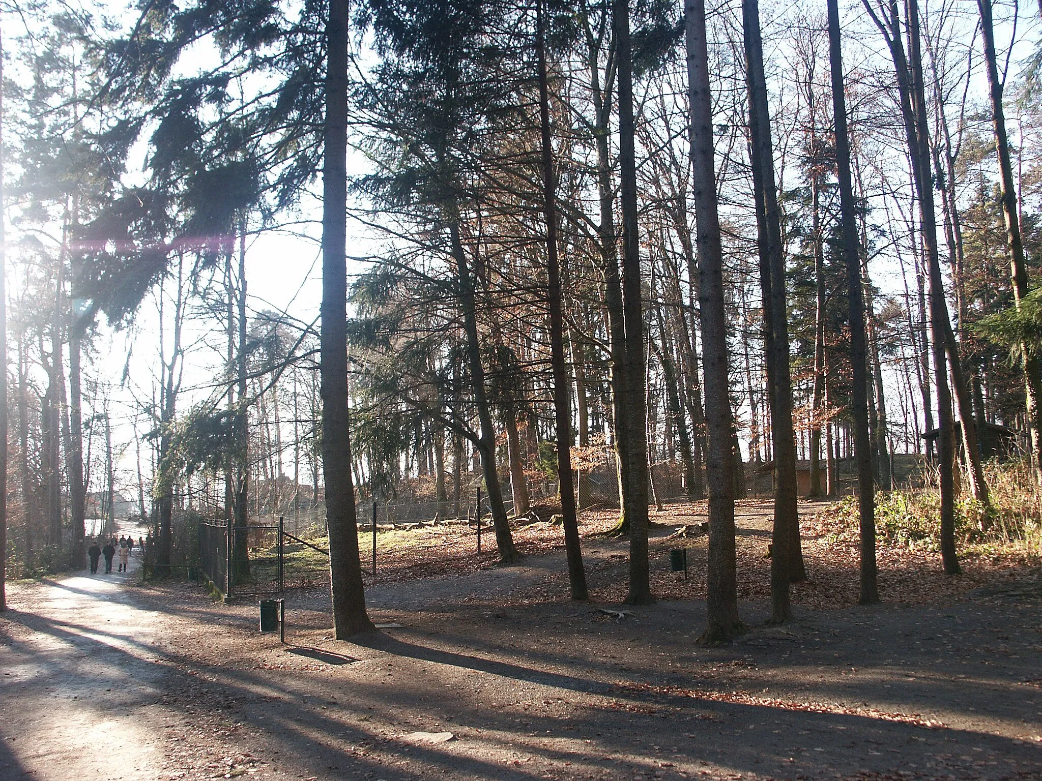 Photo showing: feldkirch - im tierpark