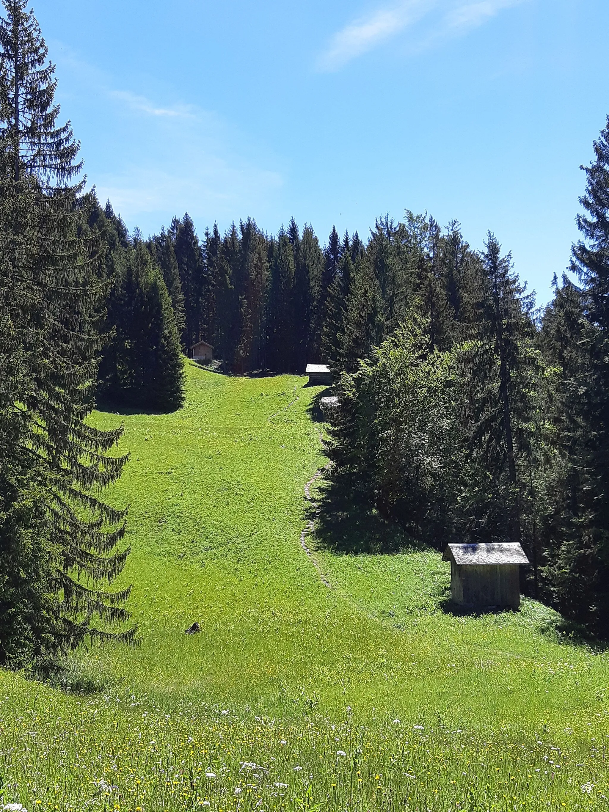 Photo showing: Hay barns in Furx, municipality of Zwischenwasser, Vorarlberg, Austria.