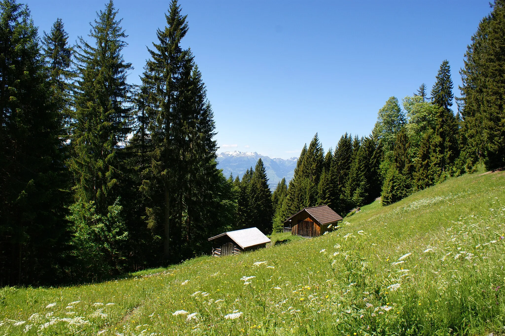 Photo showing: Hay barns in Furx, municipality of Zwischenwasser, Vorarlberg, Austria.
