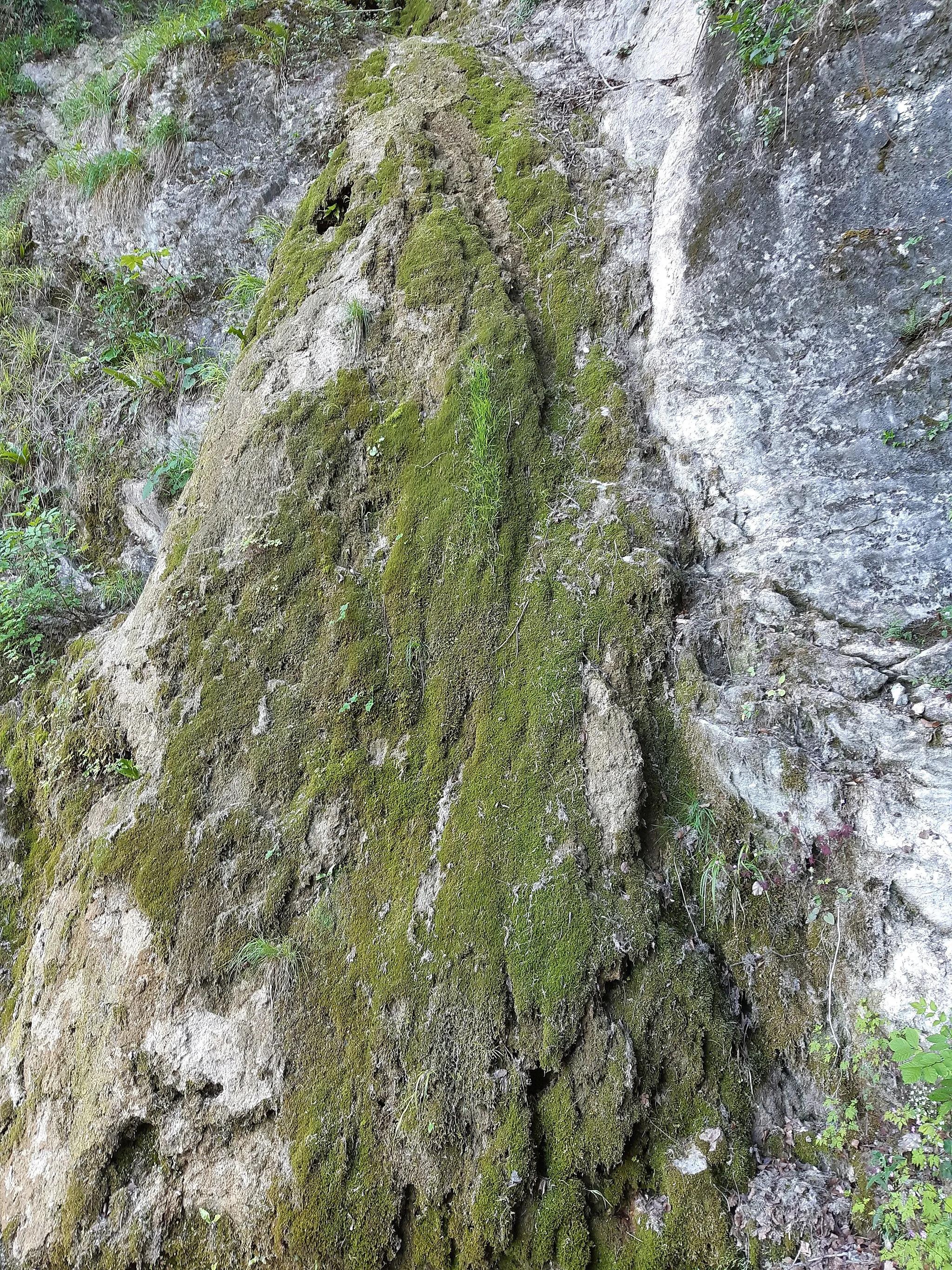 Photo showing: The Fallenkobelweg (hiking path, also: Fallakobelweg) leads from 412 m above sea level in the municipality of Hohenems via the municipal area from Altach to Götzis (537 m above sea level).