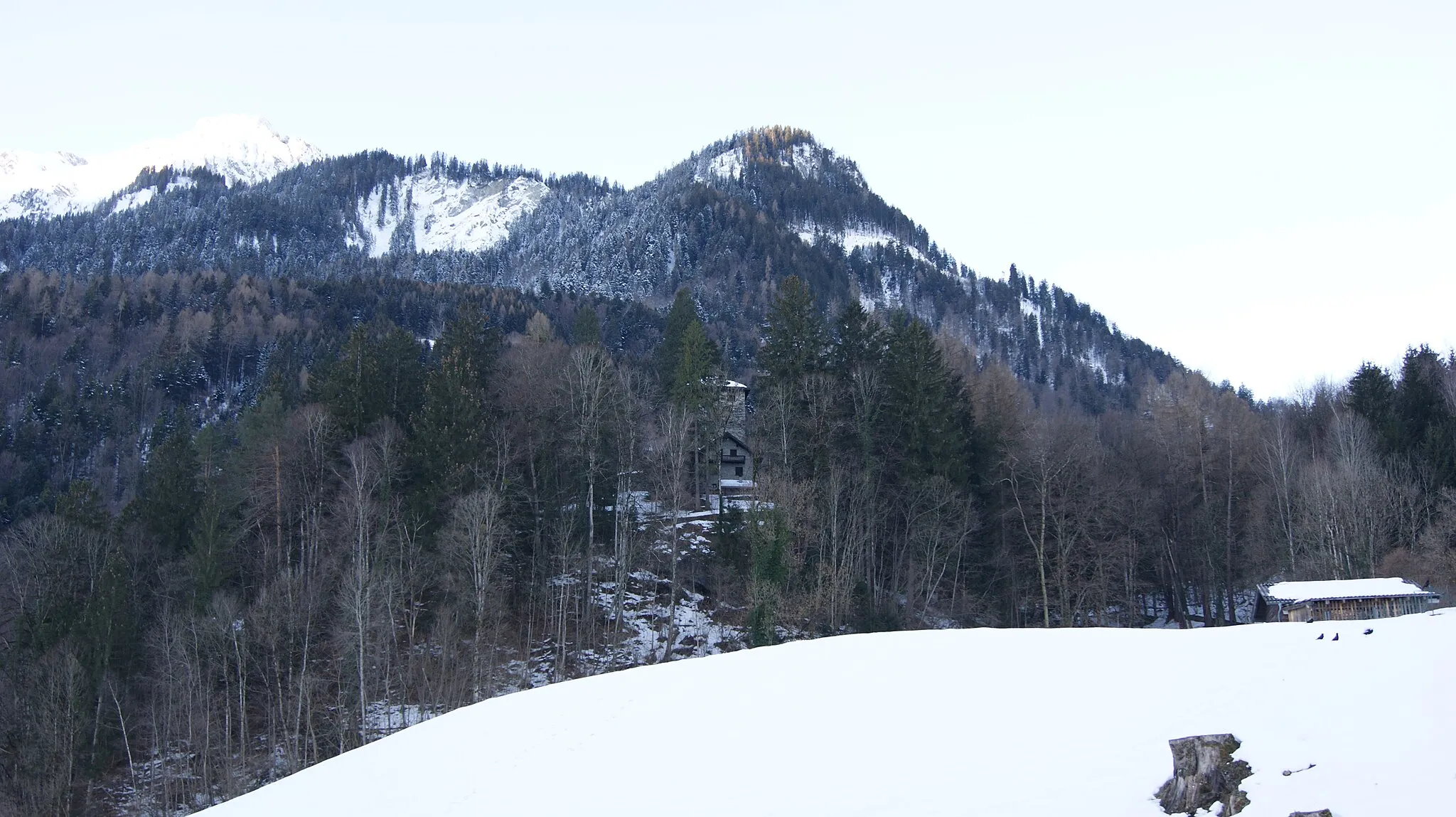 Photo showing: Burg Rosenegg on a mountain spur south of Buers. Consisting of the five-storey, square keep and an enclosure wall. Built in the middle of the 13th century, several times redesigned or rebuilt. The ring wall dates from the last reconstruction in 1939, in which older neo-Gothic elements were removed again.