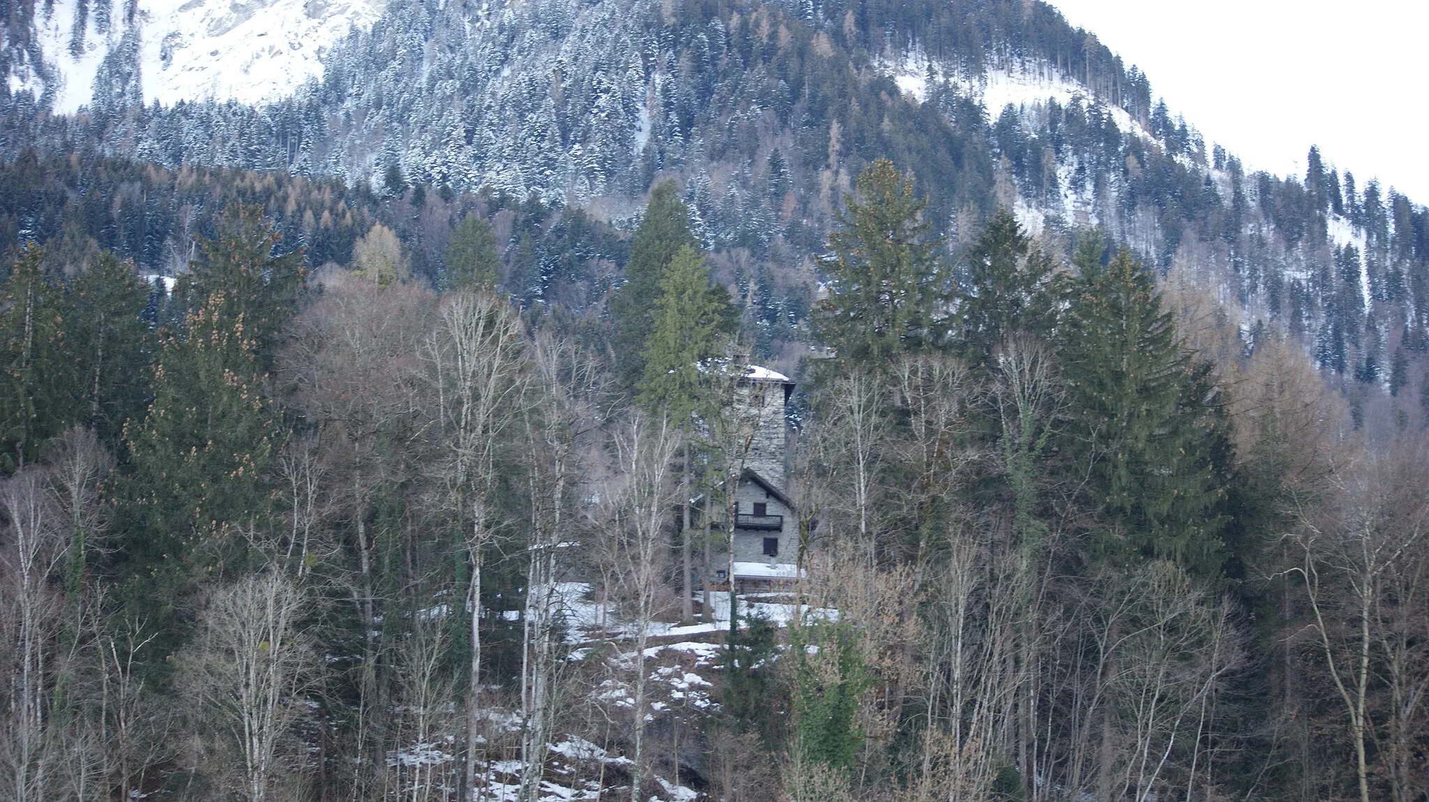 Photo showing: Burg Rosenegg on a mountain spur south of Buers. Consisting of the five-storey, square keep and an enclosure wall. Built in the middle of the 13th century, several times redesigned or rebuilt. The ring wall dates from the last reconstruction in 1939, in which older neo-Gothic elements were removed again.