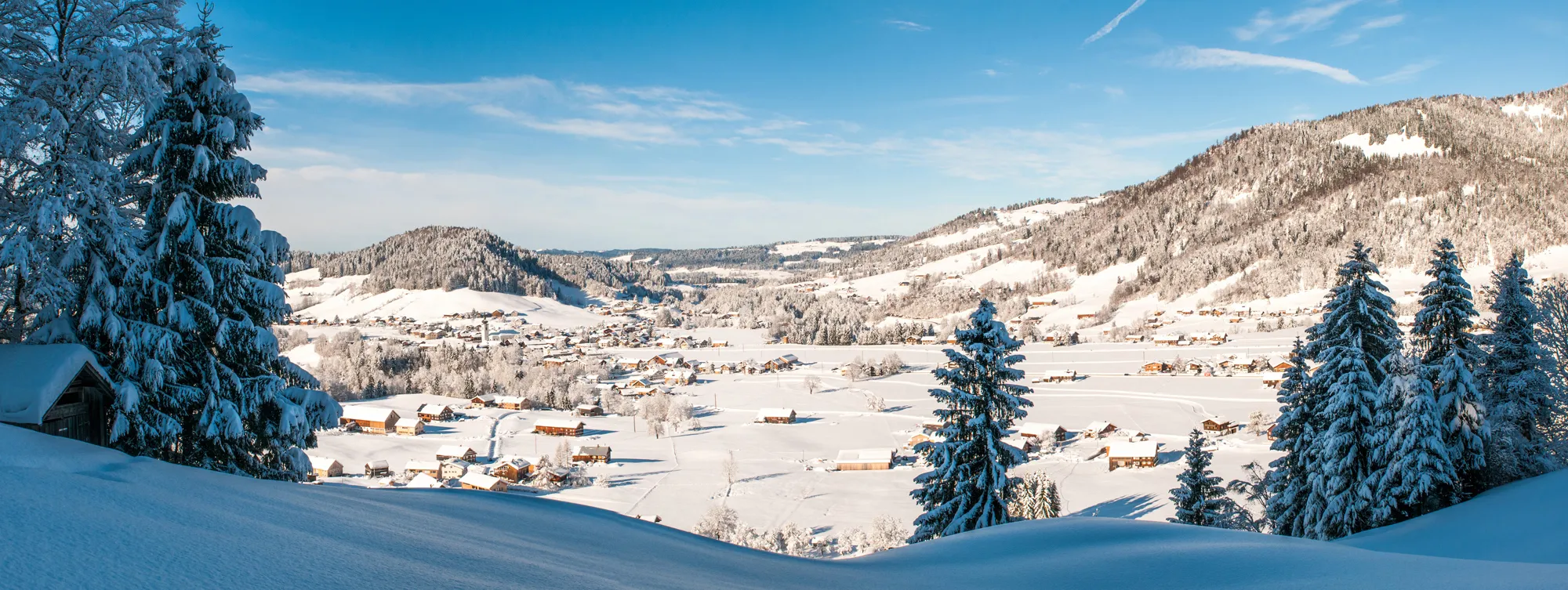 Photo showing: Ortspanorama von Hittisau.