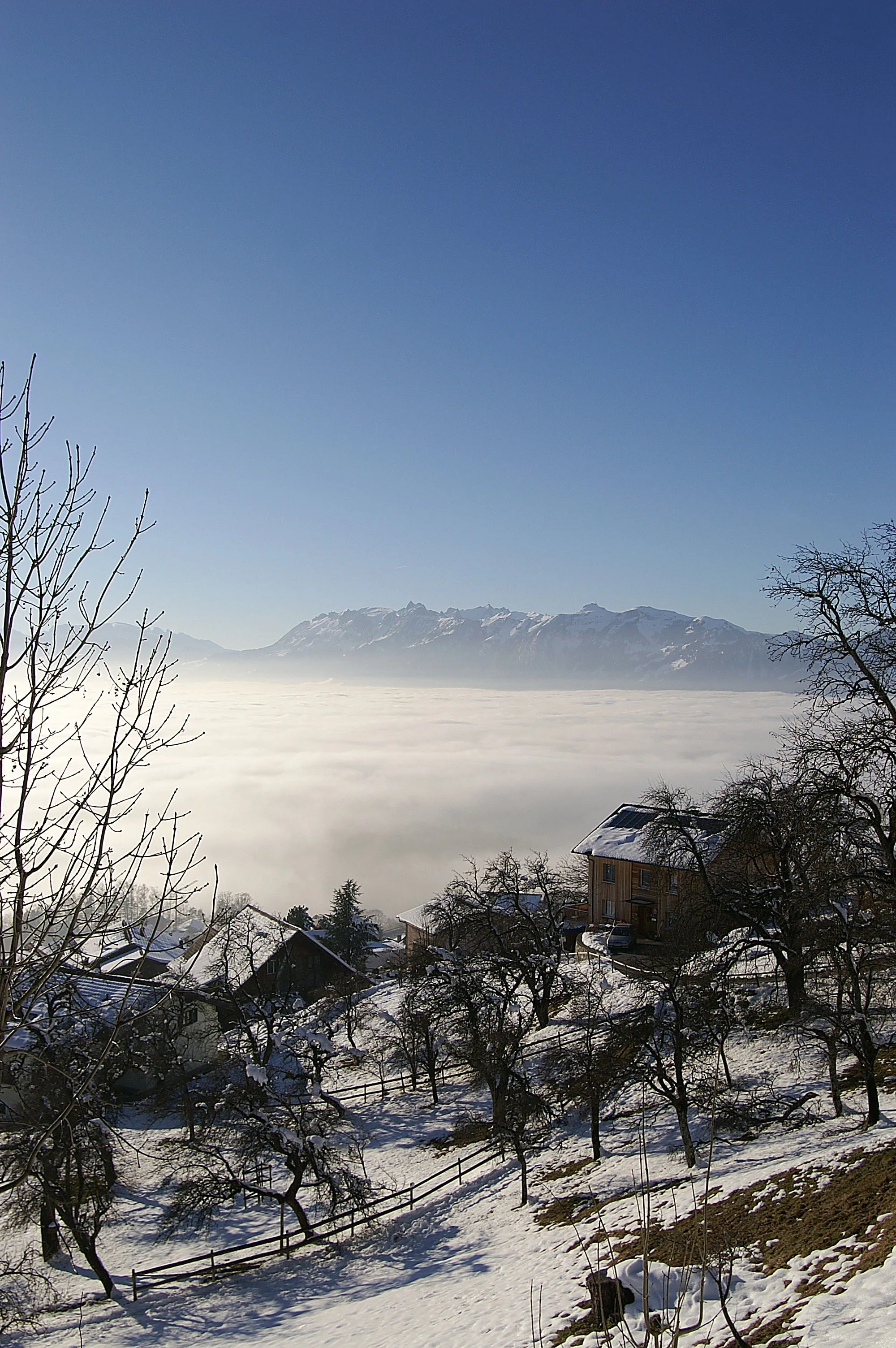 Photo showing: Blick vom Viktorsberg auf das Alpsteingebirge Im Rheintal dichter Nebel.
