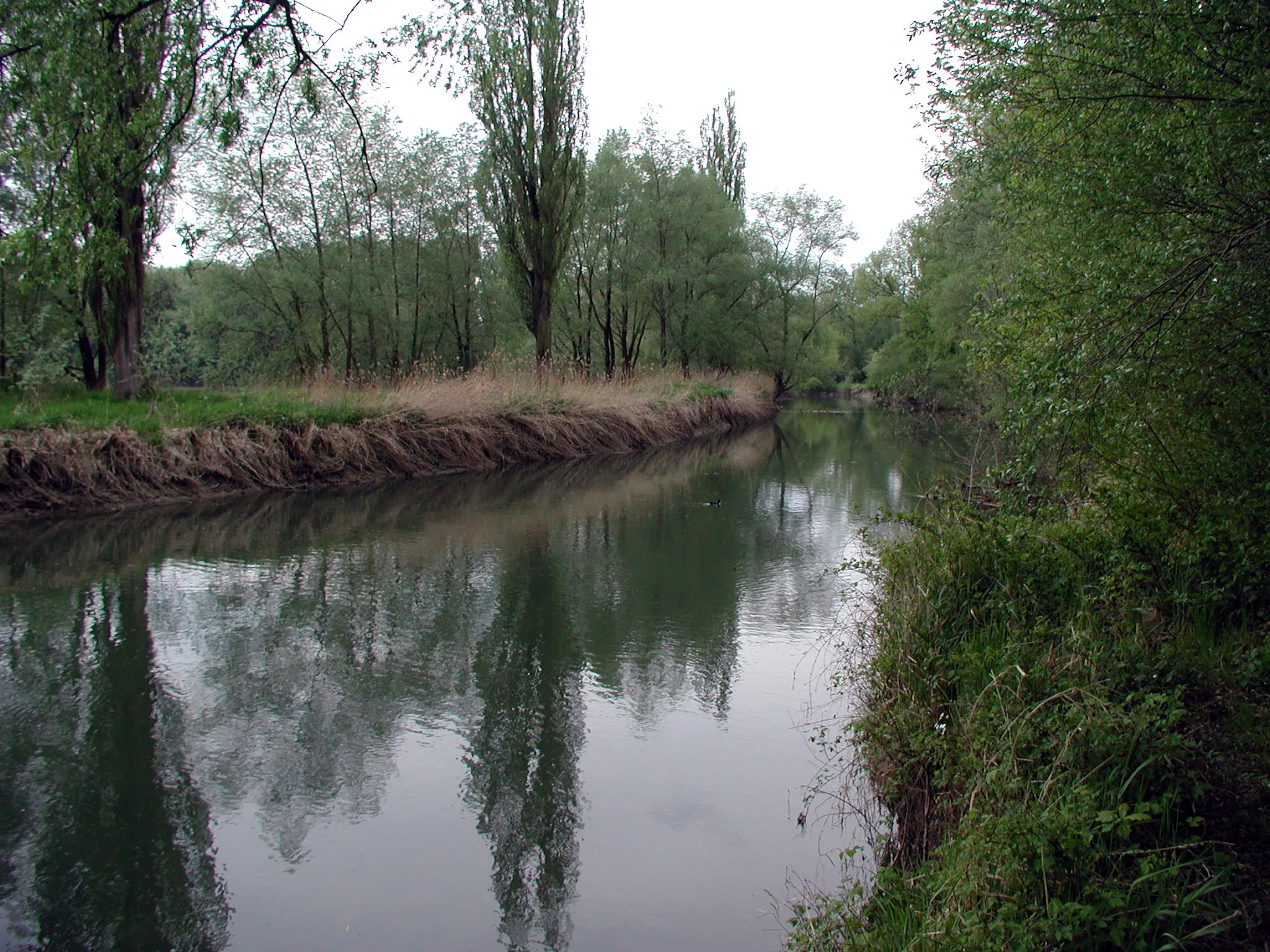 Photo showing: Der Rhein in Höchst