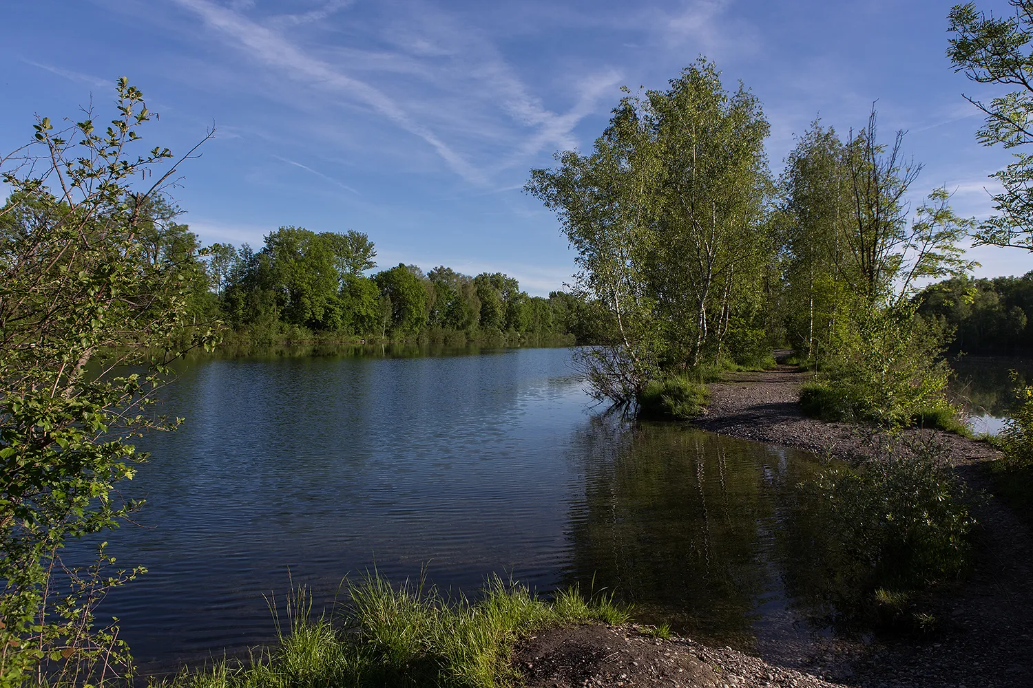 Photo showing: Alter Rhein bei Diepoldsau im Rheintal (SG)