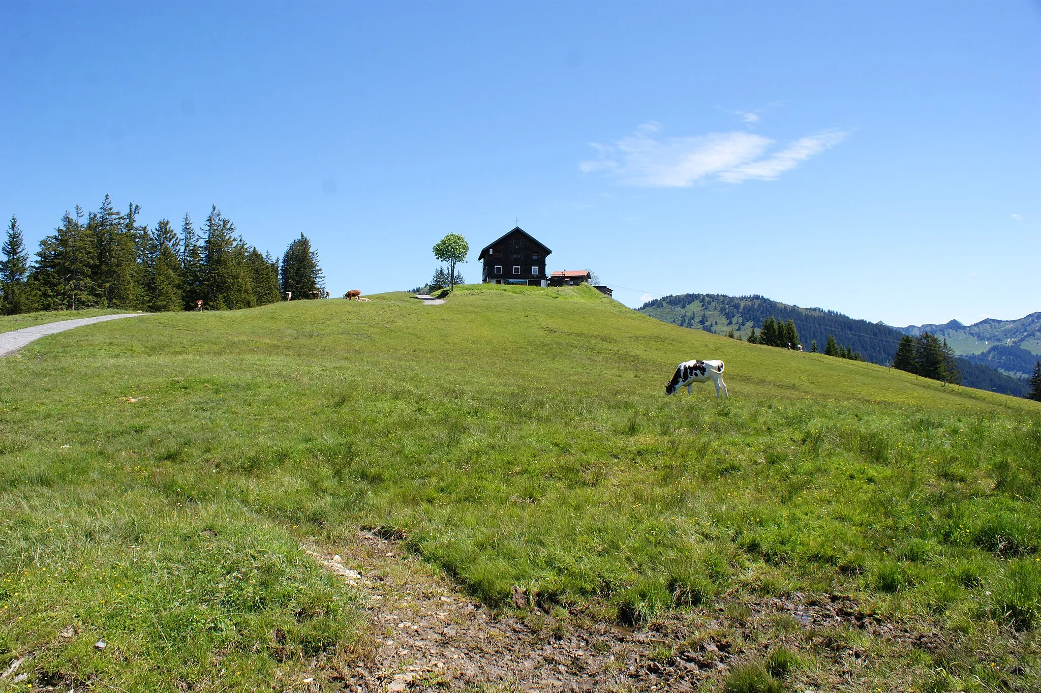 Photo showing: Alpweghut (Alp Alpweg) in Dafins village in the town of Zwischenwasser, Vorarlberg, Austria.