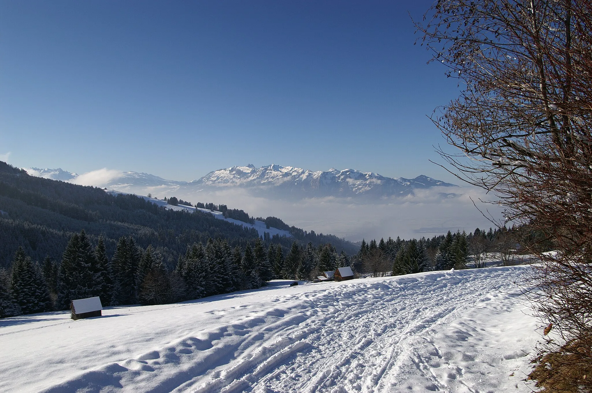 Photo showing: Blick von Madlens oberhalb von Dafins auf die Schweizer Gebirgszüge der Alvierkette , dem Gamser-und dem Chäserrugg sowie den Churfirsten im Kanton St. Gallen und mittig das Alpsteingebirge. Im Rheintal Nebel.