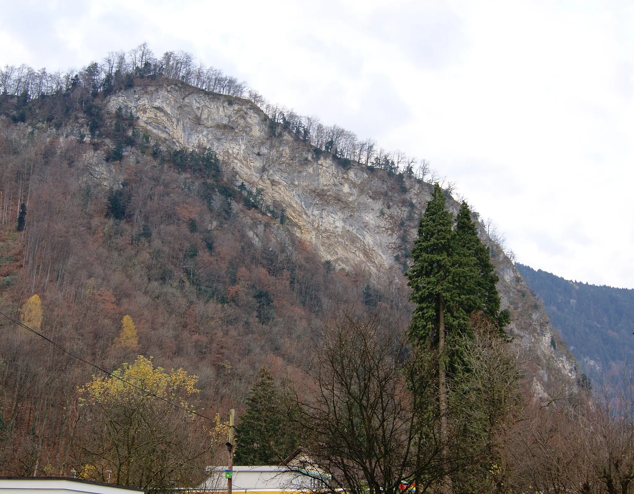 Photo showing: Schlossberg (740 masl), a Part of the Bregenz Forest Mountains, in Hohenems, Vorarlberg, Austria. On the left, are part of the Castle ruin Alt-Ems to see.