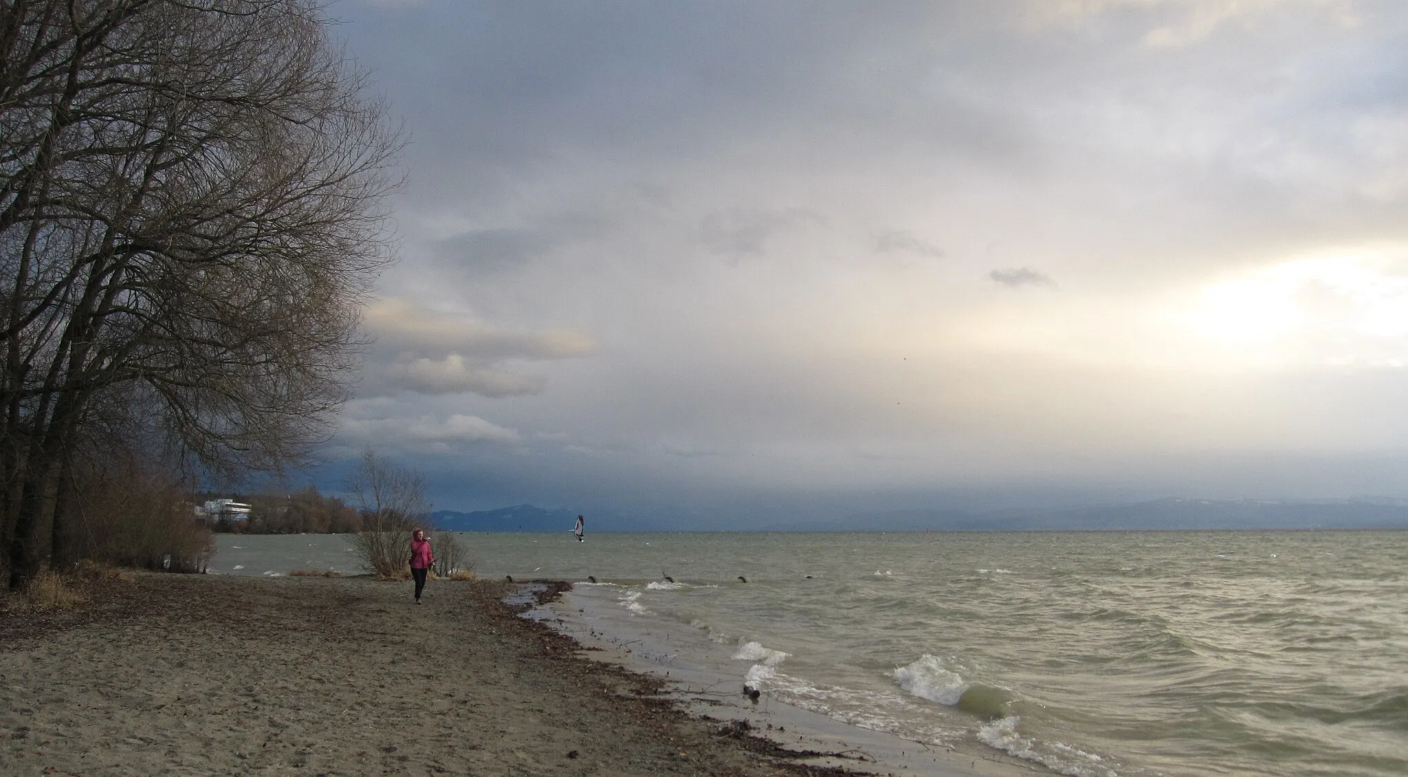 Photo showing: During the last two decades the beach area of this part of Lake Constance had been redesigned according to ecollogical criteria. Concrete walls along the beach had been removed; the shore had been flattened in order to enlarge the beach area as well as to strengthen the habitat function of the shallow water zone.