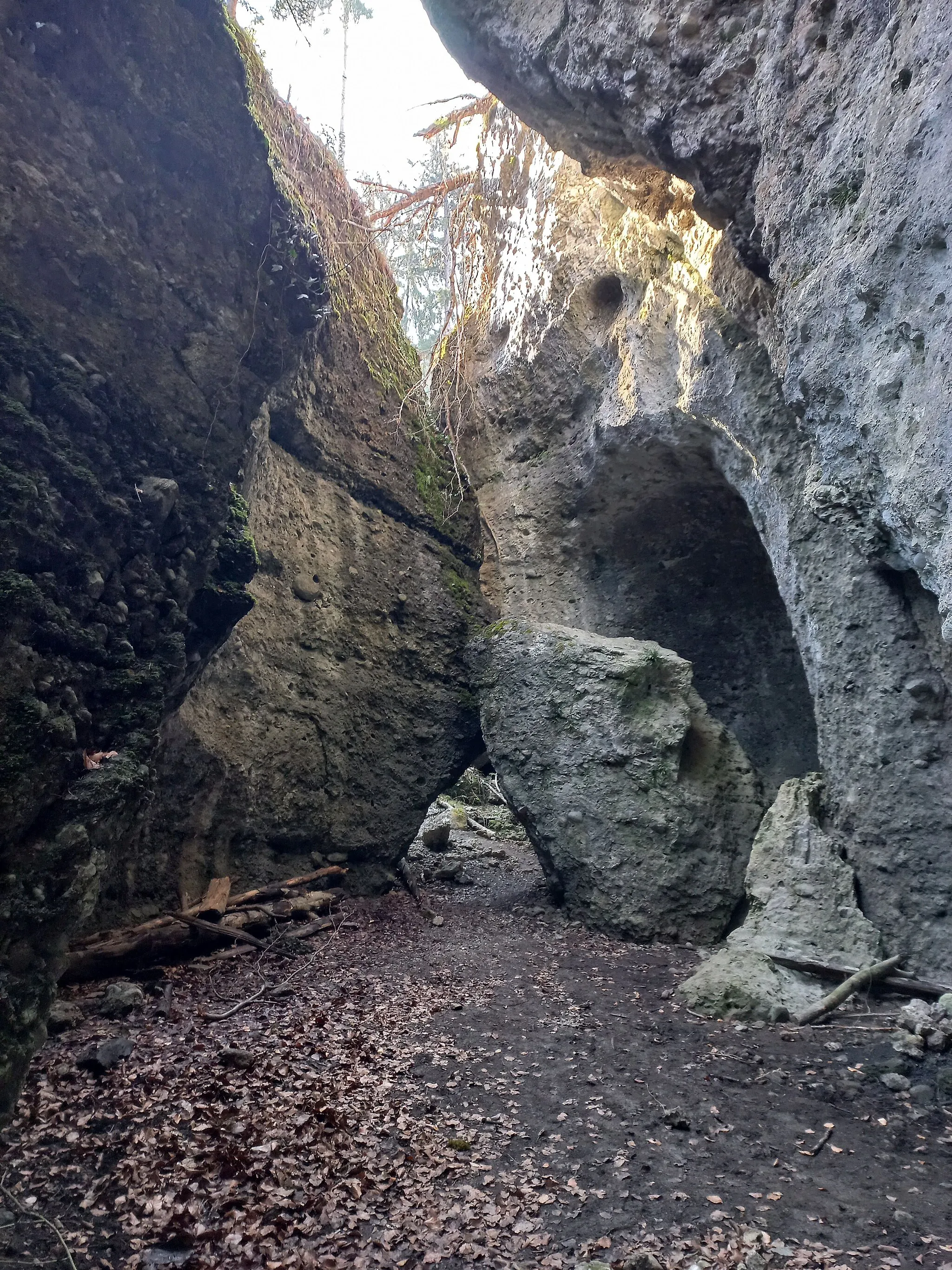 Photo showing: Kuhloch, means: "cattle hole" (doline) in the municipality of Bürs, Vorarlberg, Austria.