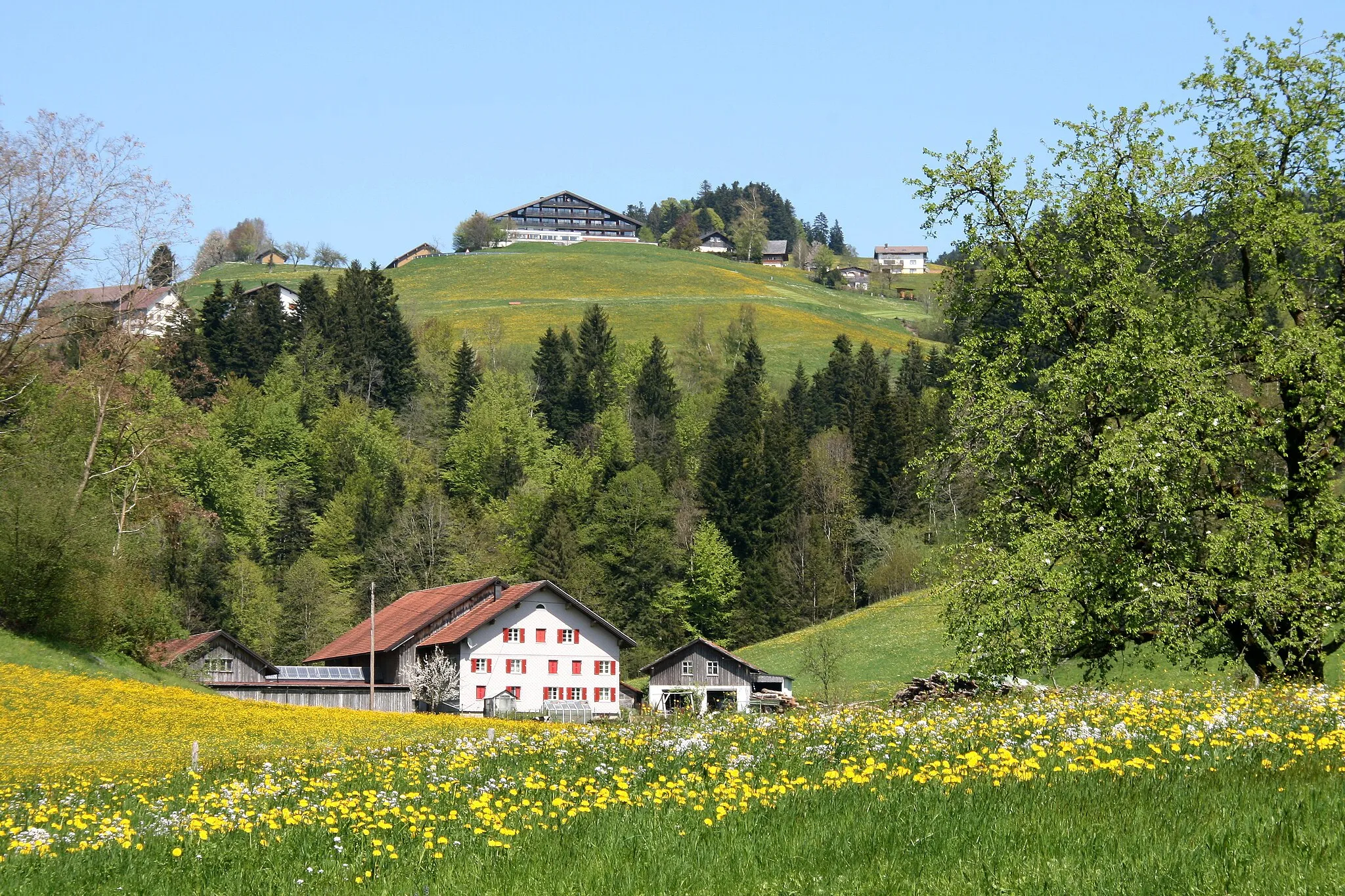 Photo showing: Blick von Eschau auf den Schönenbühl von Sulzberg, Vorarlberg.