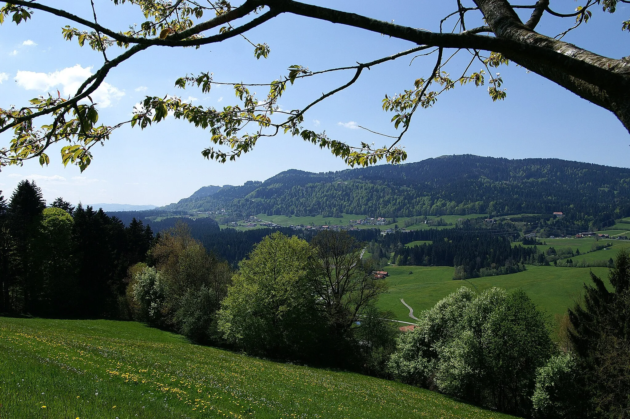 Photo showing: Blick von Eschau ( Sulzberg) auf Langen bei Bregenz in Vorarlberg.