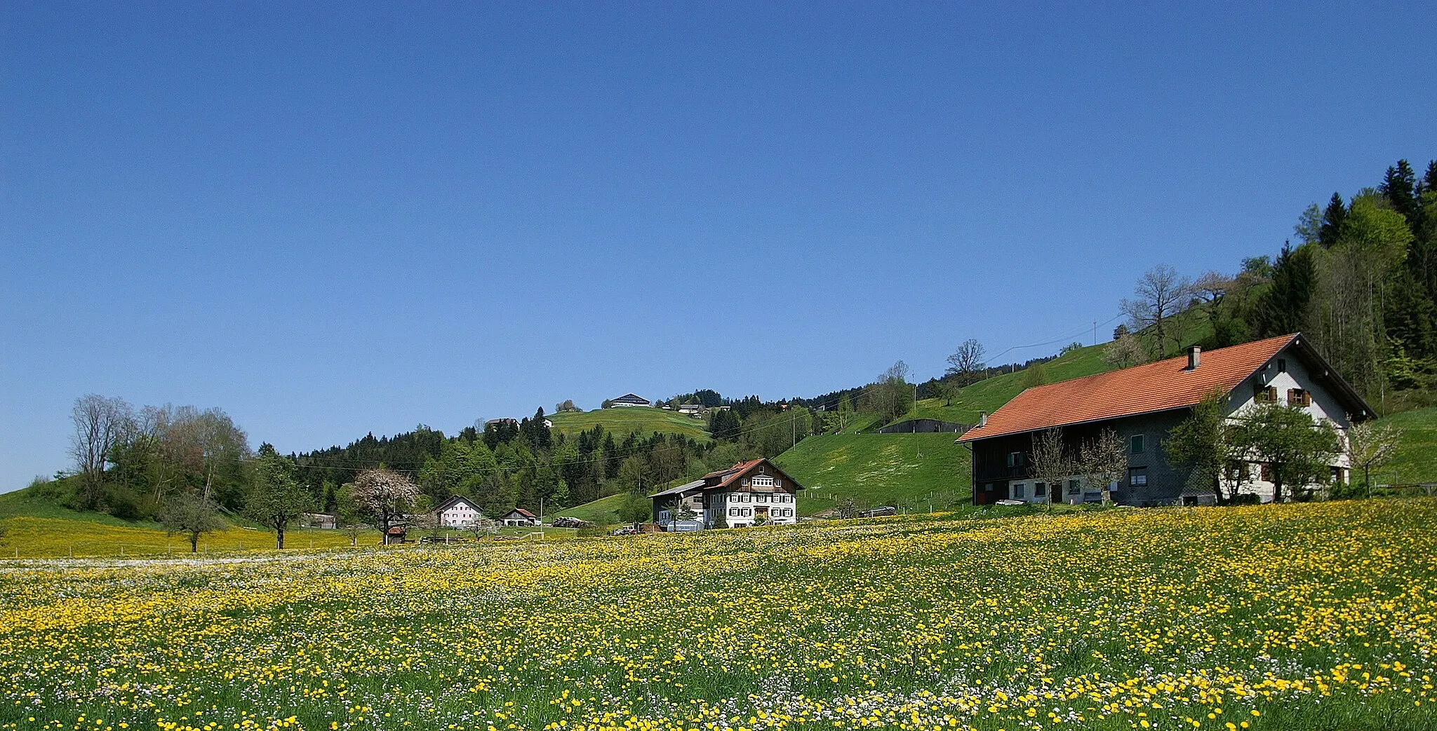 Photo showing: Blick von Eschau auf den Schönenbühl von Sulzberg, Vorarlberg.