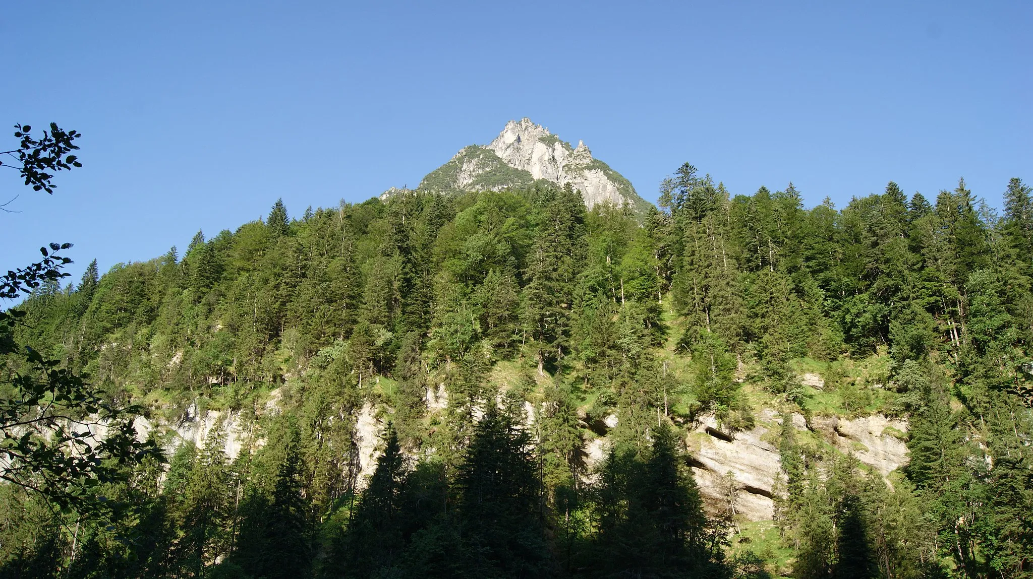 Photo showing: Eckskopf (1563 masl), a mountain in the muncipality Nenzing, Vorarlberg, Austria.