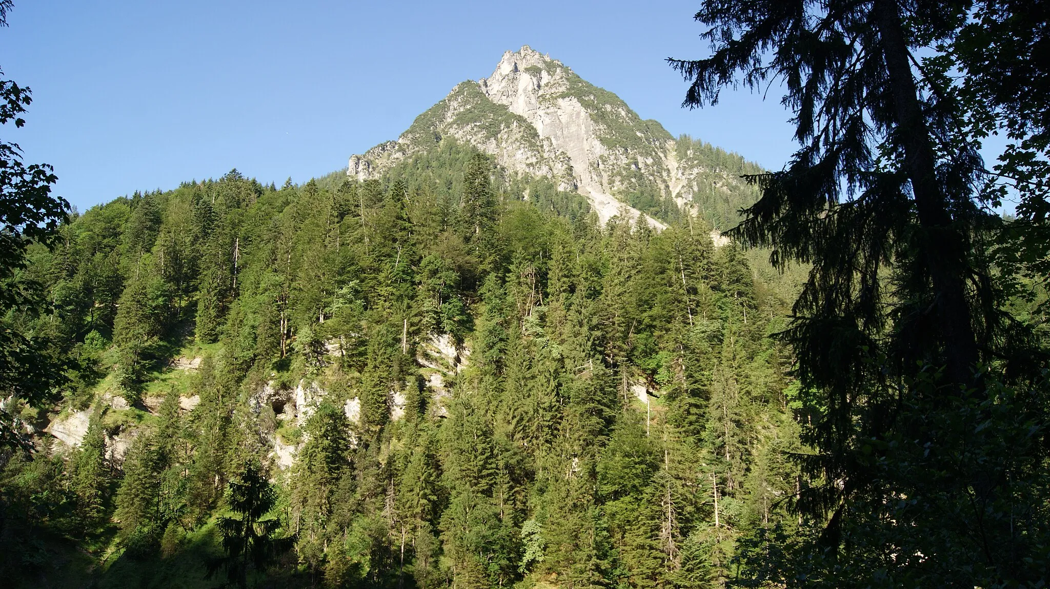 Photo showing: Eckskopf (1563 masl), a mountain in the muncipality Nenzing, Vorarlberg, Austria.