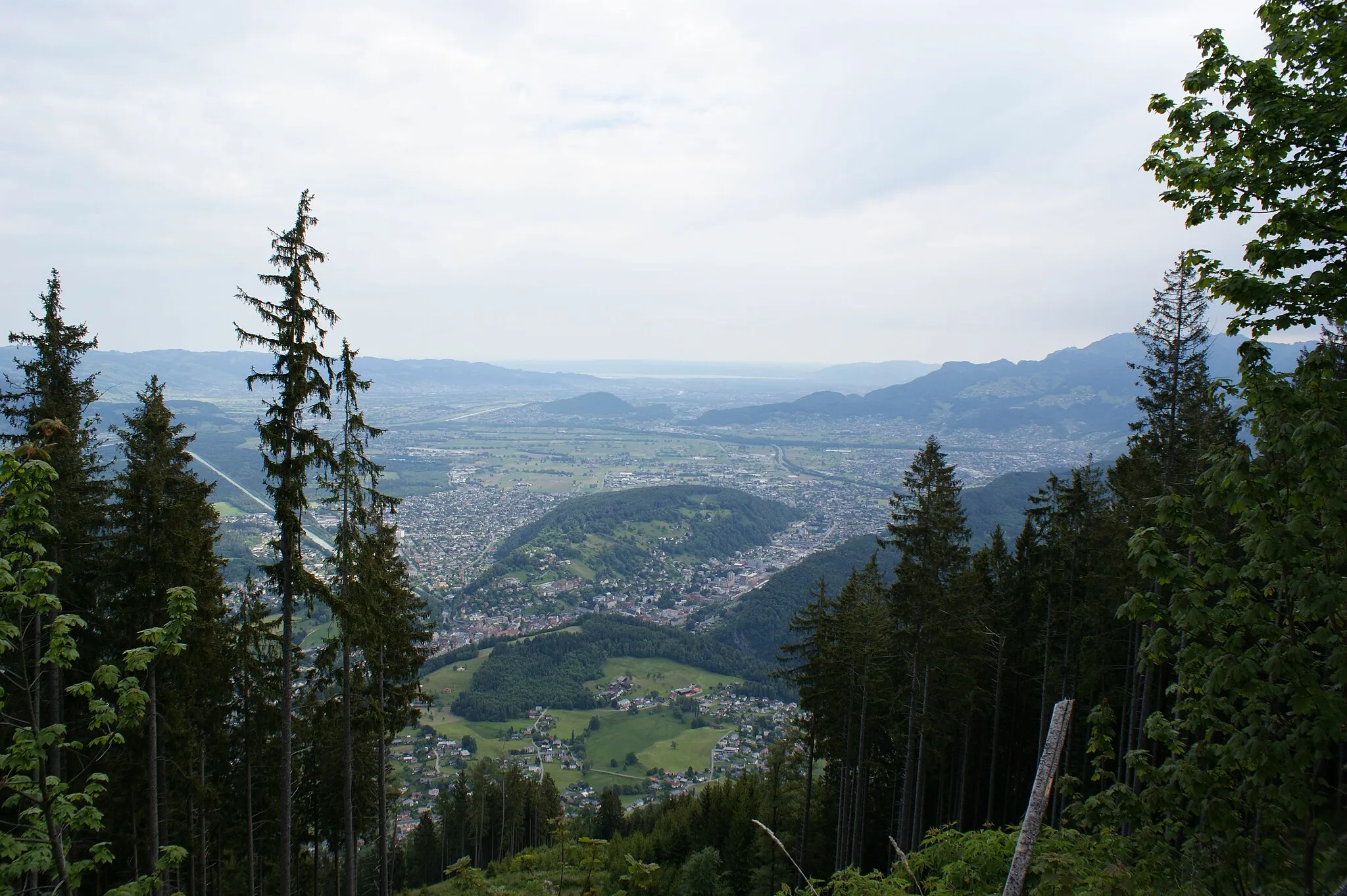 Photo showing: View from the agricultural road to the Vorderaelpele (Frastanz) to Feldkirch, the Ardetzenberg, the Rhine valley and Lake Constance.