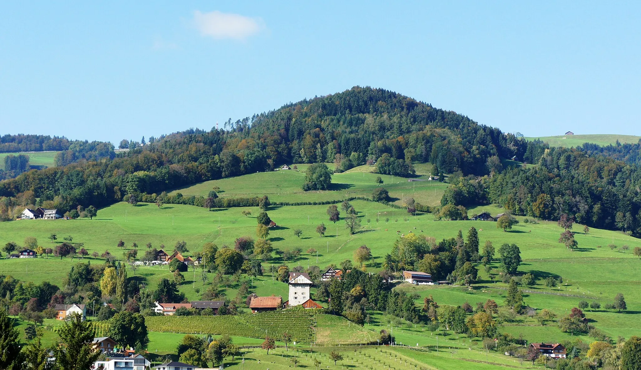 Photo showing: Die Burg Neu-Altstätten über einem Rebberg oberhalb von Lüchingen (Gemeinde Altstätten SG). Der bewaldete Hügel oberhalb der Burg gehört zum Weiler Kapf (Gemeinde Oberegg AI), darüber ist der Ort St. Anton AI.