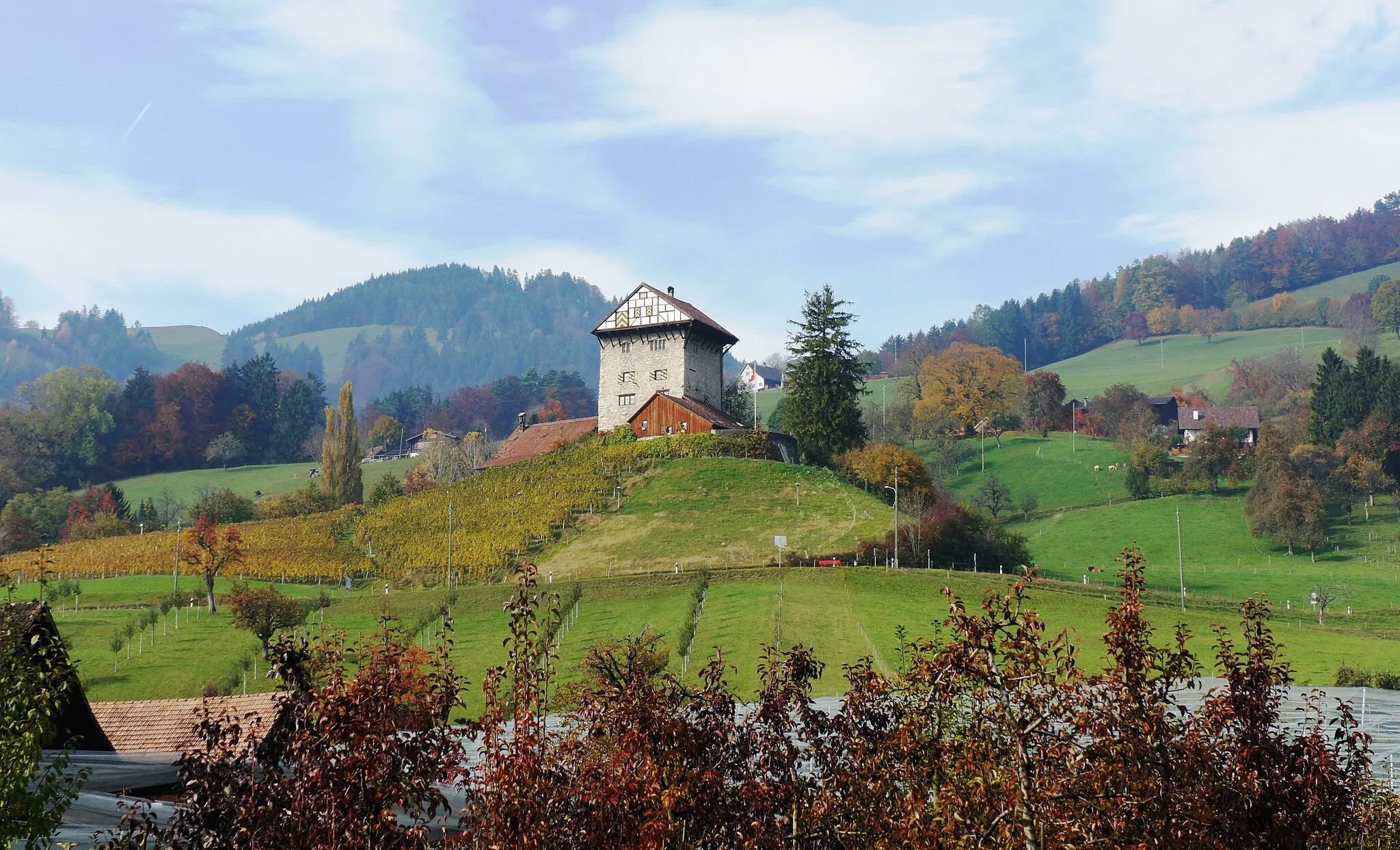 Photo showing: Blick aus Südosten zur Burg Lüchingen (Burg Neu-Altstätten) hinauf. Im Vordergrund Obstplantagen, Wiesen und links vor der Burg ein Rebberg.