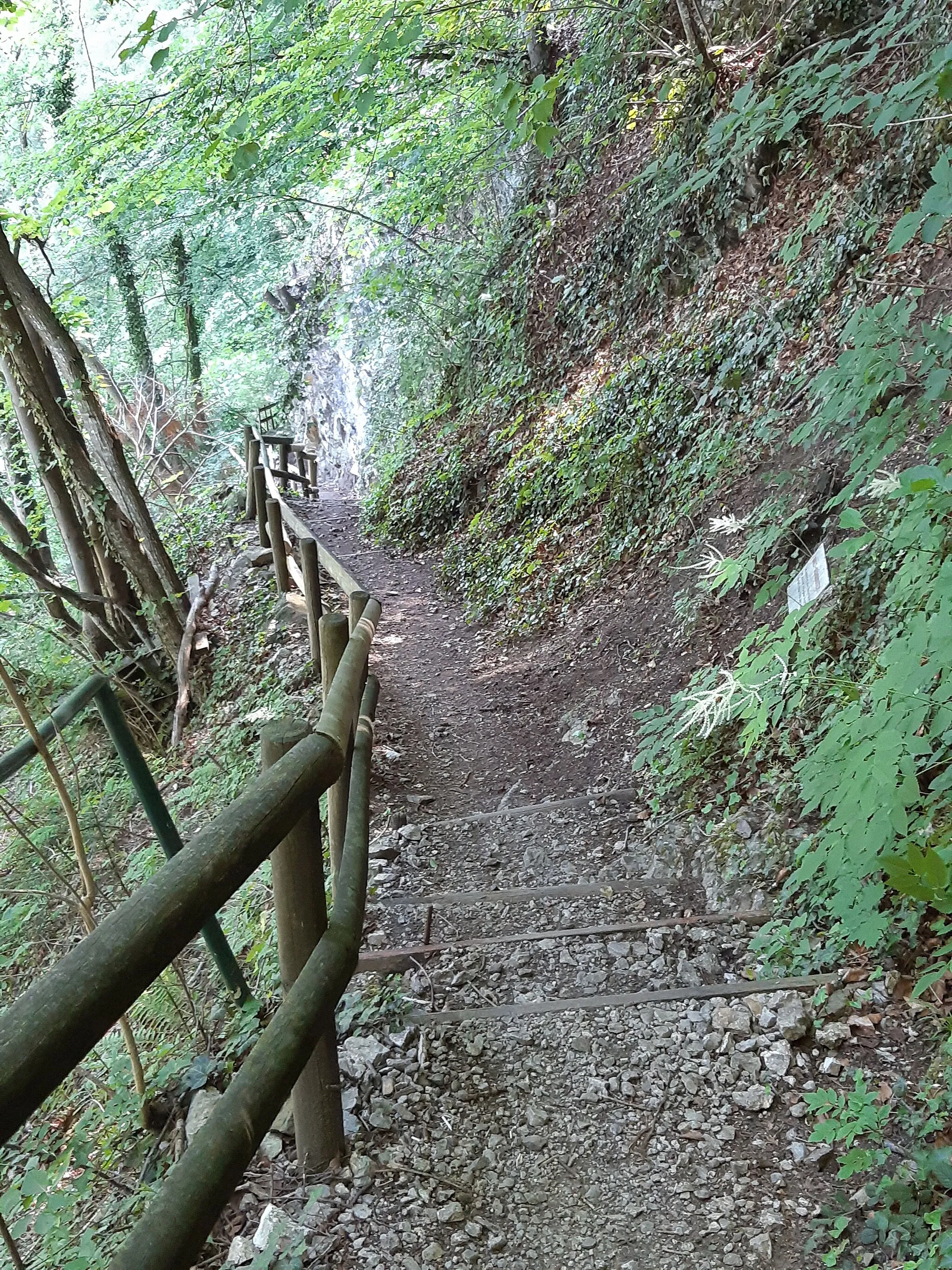 Photo showing: The Fallenkobelweg (hiking path, also: Fallakobelweg) leads from 412 m above sea level in the municipality of Hohenems via the municipal area from Altach to Götzis (537 m above sea level).