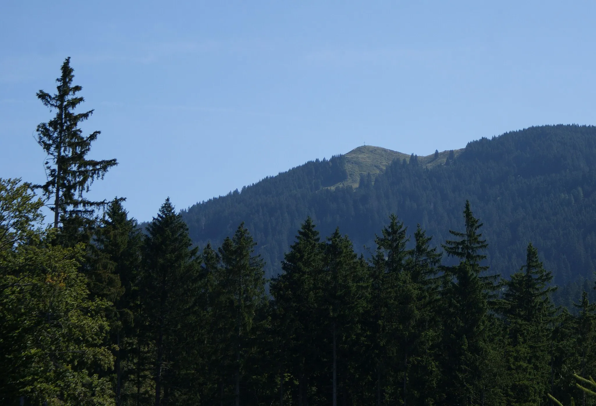 Photo showing: Goetzner Moos (also Orsanka Moos) is a bog in the muncipality of Goetzis (Vorarlberg, Austria) in the "Hohe Kugel - Hoher Freschen - Mellental" nature reserve. The bog is about 26.24 hectares in size on 1100 masl.