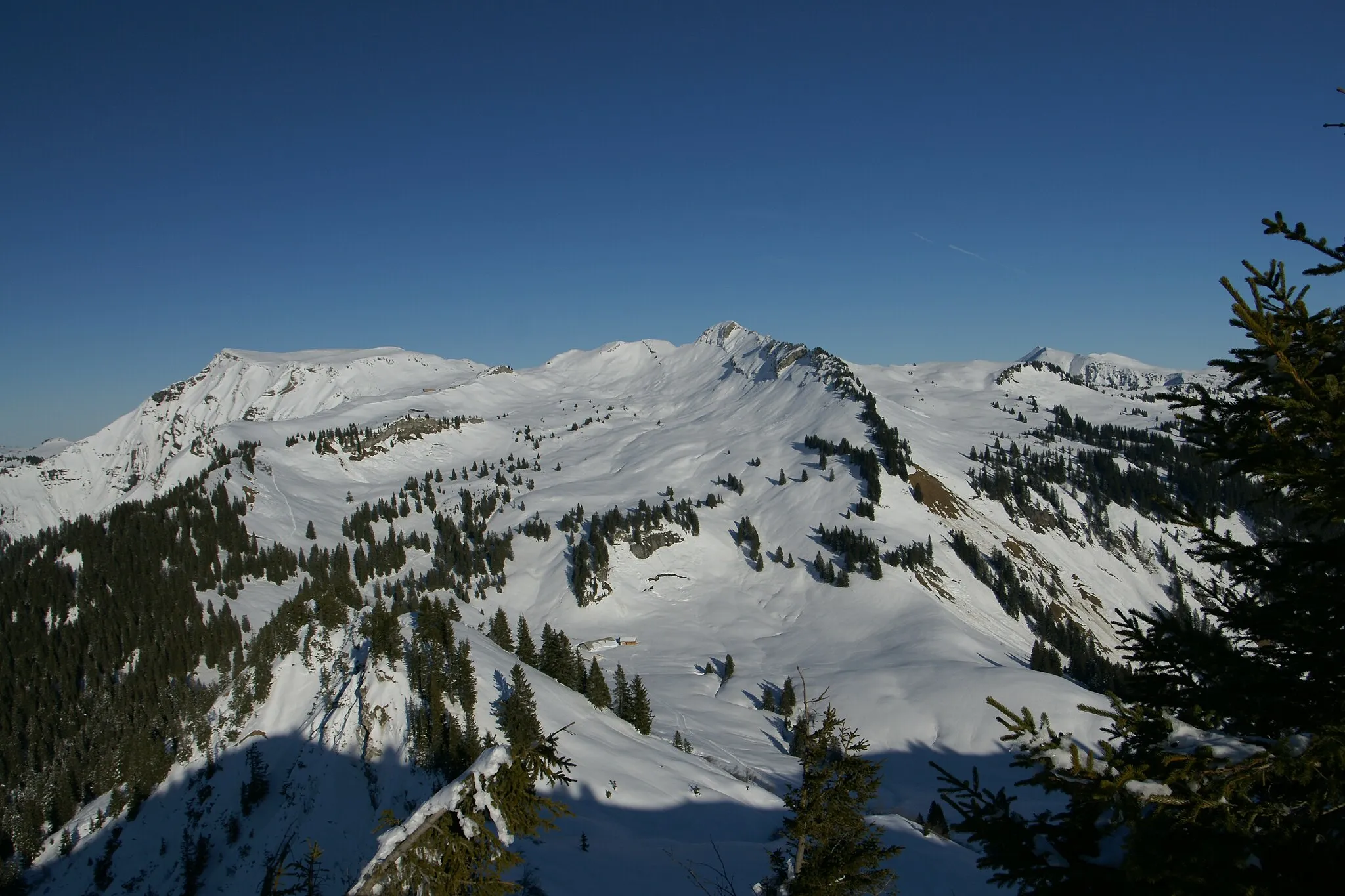 Photo showing: der Hohe Freschen im Bregenzerwaldgebirge gesehen vom Nob in Laterns-Gapfohl in Vorarlberg; Unten im Bild die Untere Saluveralpe, darüber die Obere Saluveralpe und ganz oben das Freschenhaus. Auf dem rechten Kamm das Matonajöchle und der Schusterstuhl. Der Zustieg zum Binnelgrat (links im Bild) erfolgt von der Unterfluhalpe (Dornbirn) und ist nur für Geübte. Schwindelfreiheit und Trittsicherheit ist erforderlich.