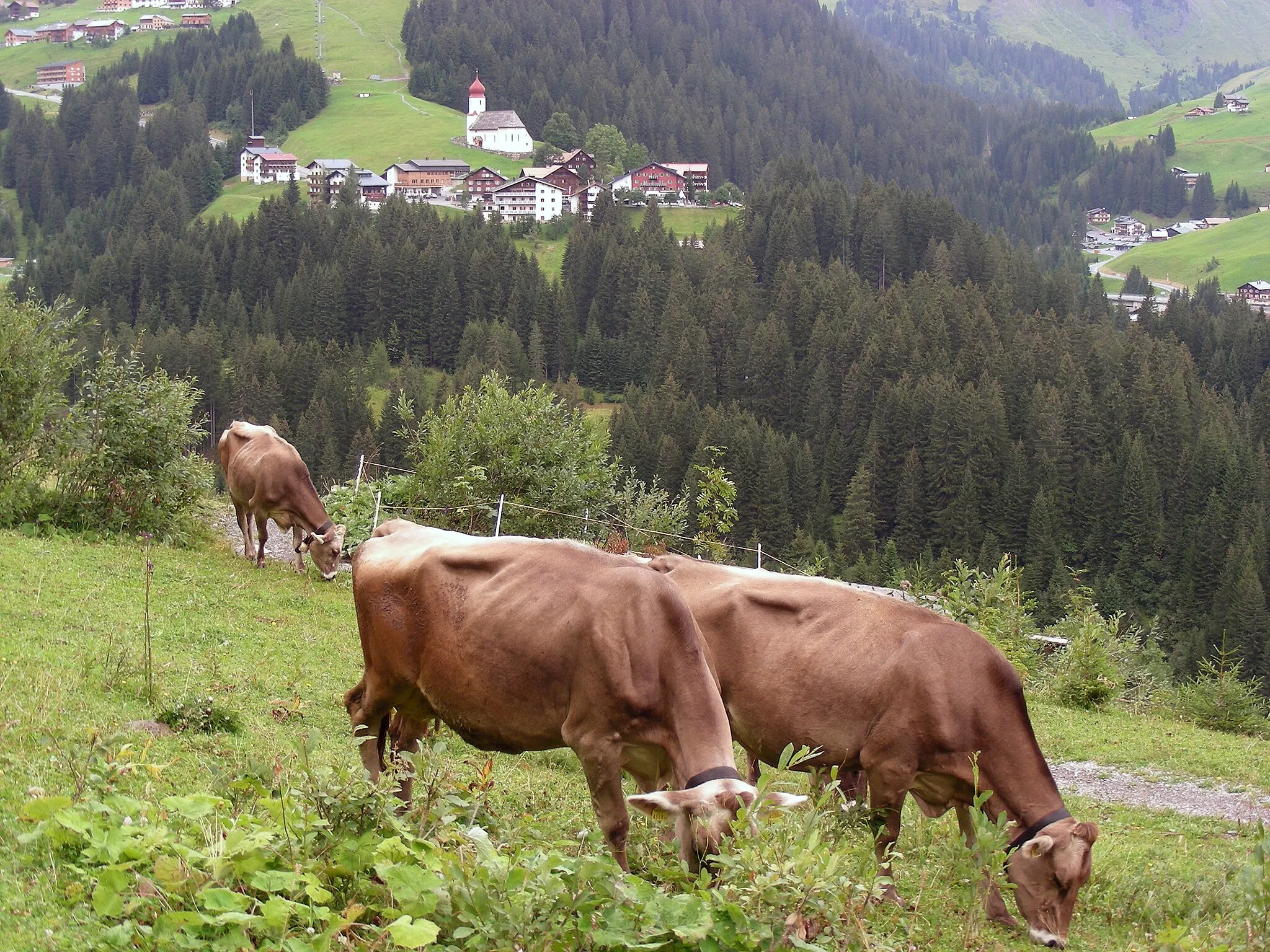 Photo showing: Zwischen Damüls und Faschina