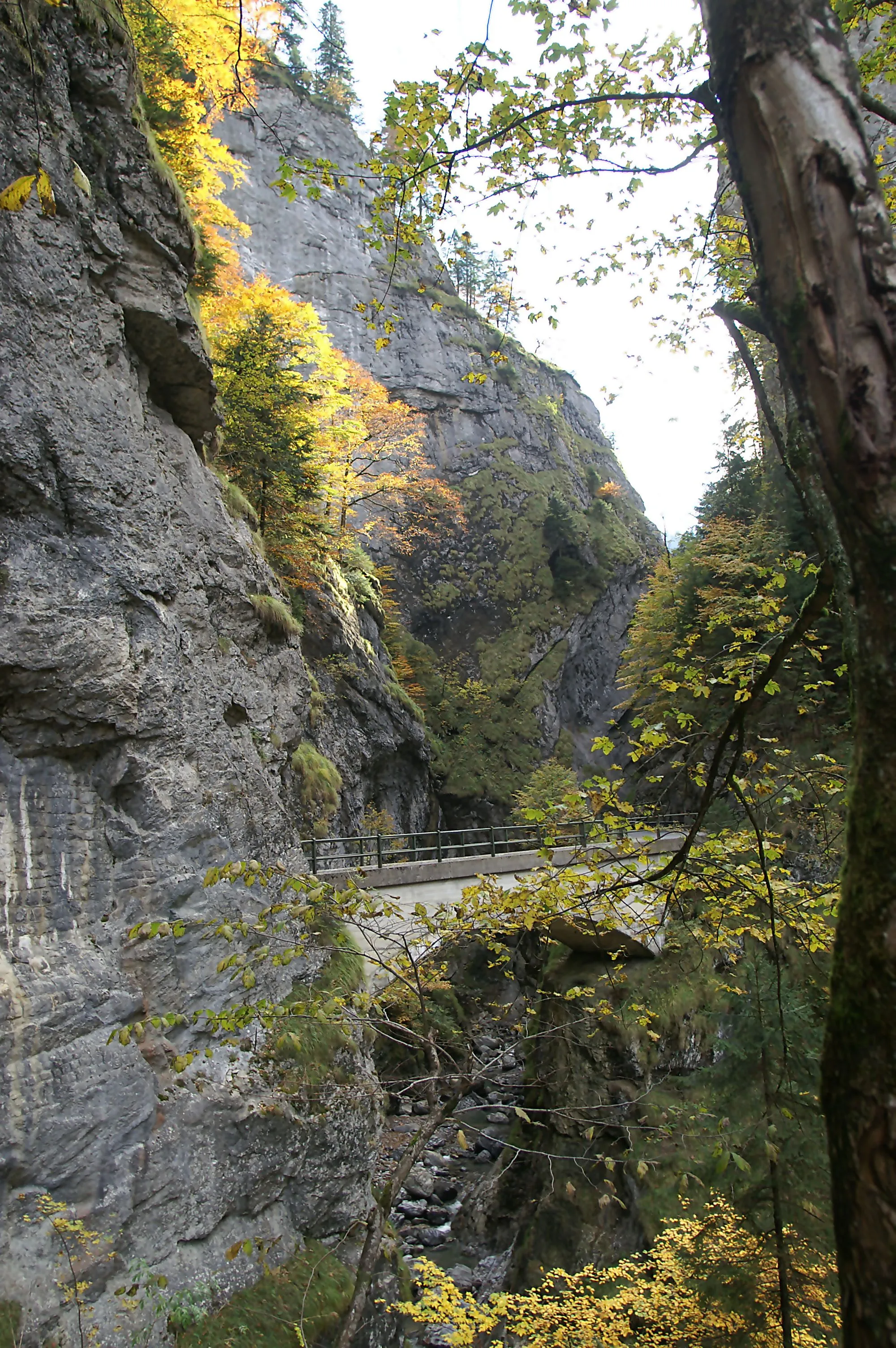 Photo showing: Schaufelschluchtbrücke: Die Betonbrücke stammt aus dem Jahre 1935. Mit ihren gut 15 Meter Spannweite sitzt sie 16 Meter hoch über der Dornbirner Ache. Die Strasse führt von Dornbirn über die Rappenlochschlucht in das Bergdorf Ebnit.