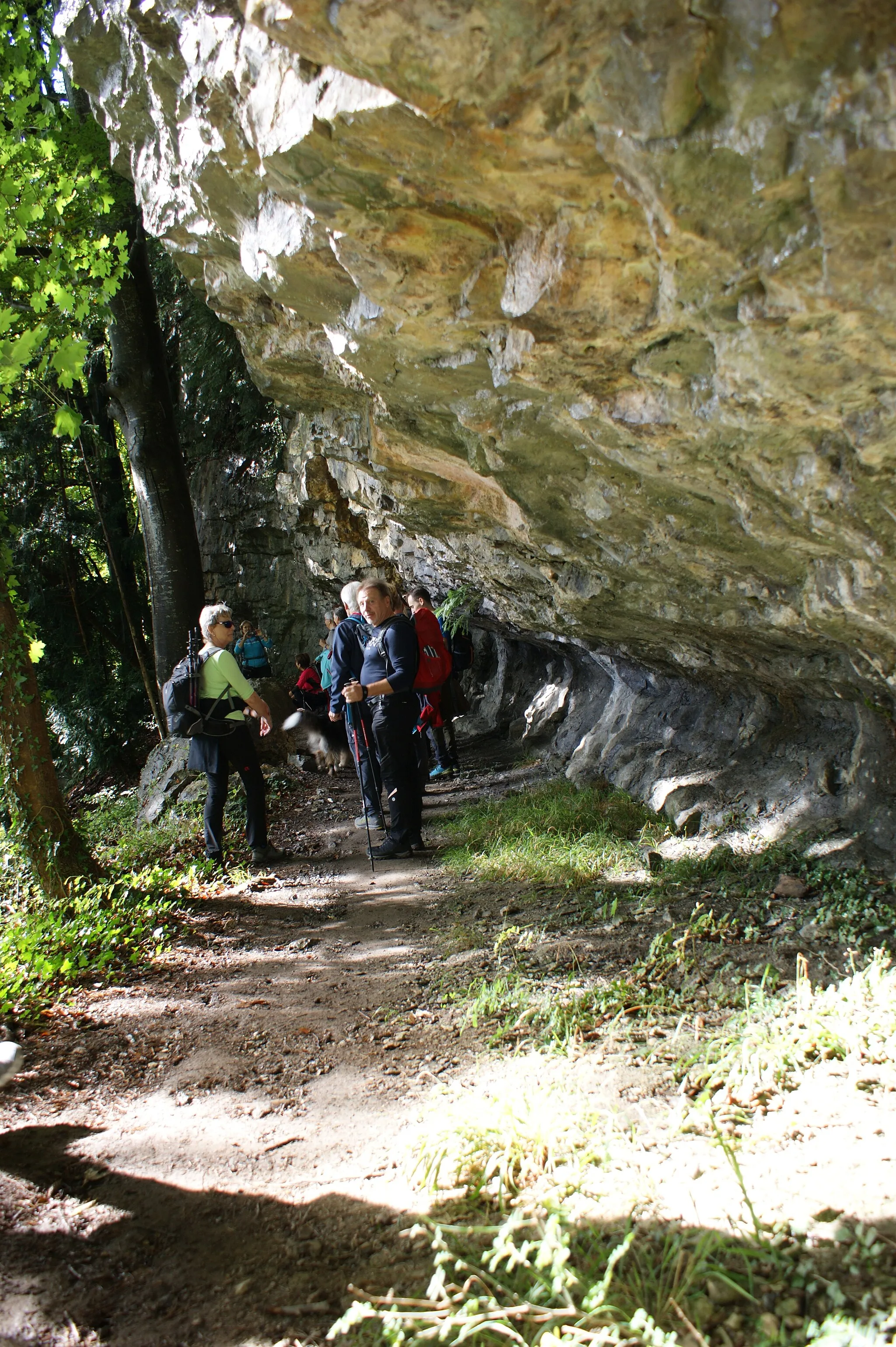 Photo showing: Hiking trail "Felsband" between Feldkirch, Vorarlberg, Austria and Liechtenstein (Bendern) on the Eschnerberg (also called Eschner Berg or Schellenberg).