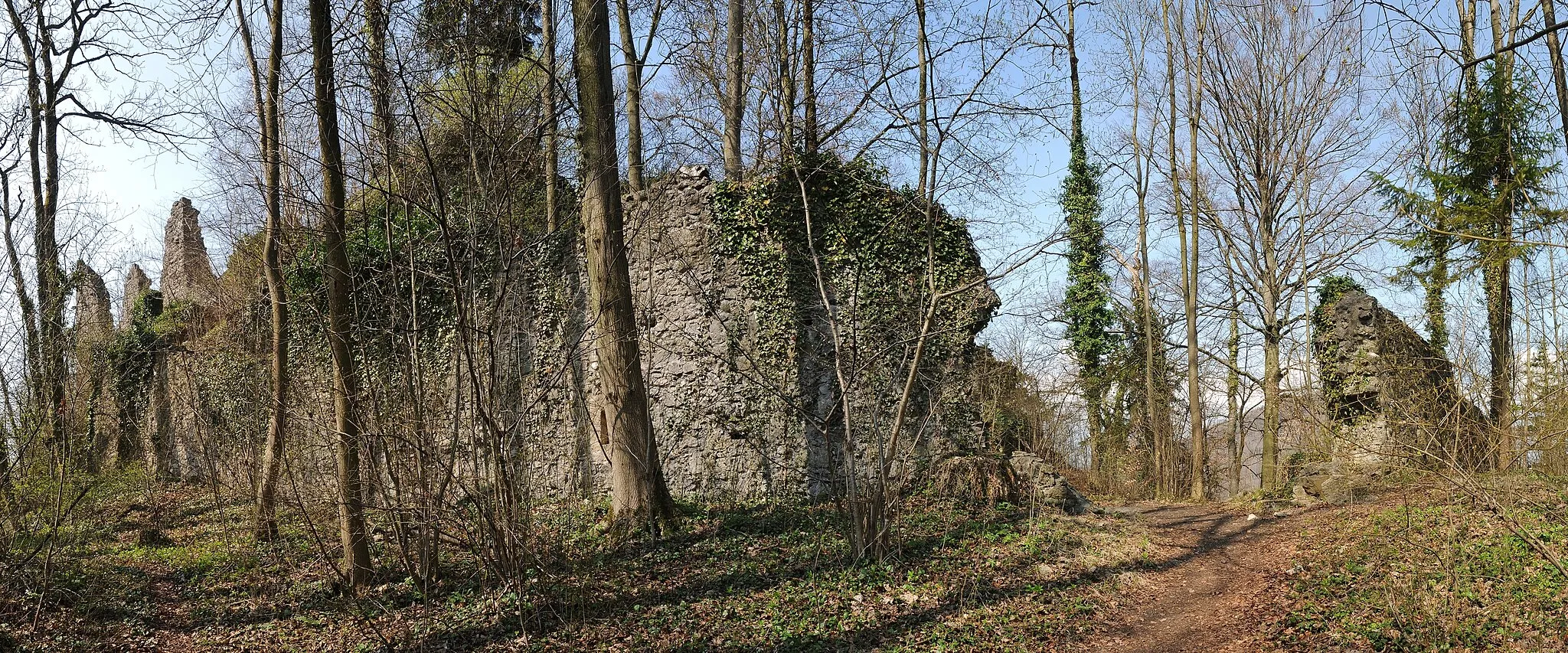 Photo showing: Die Burgruine Neuburg (Koblach) in der Gemeinde Koblach in Vorarlberg steht auf dem gleichnamigen Inselberg in der Rheintalebene. Die Anlage steht unter Denkmalschutz.