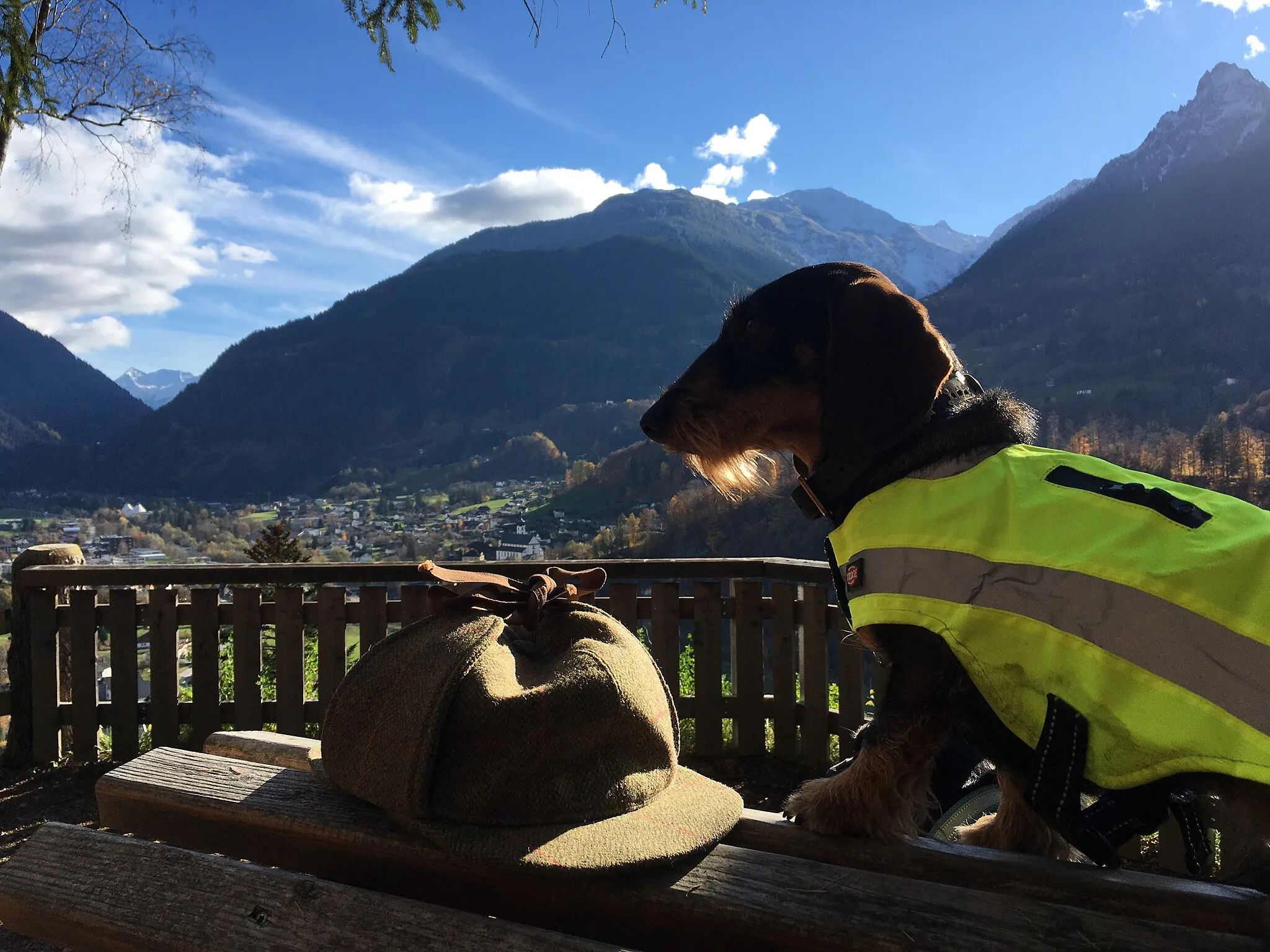 Photo showing: Robert Elwes' Hat and Hound in Schruns, Montafon Valley, Austria