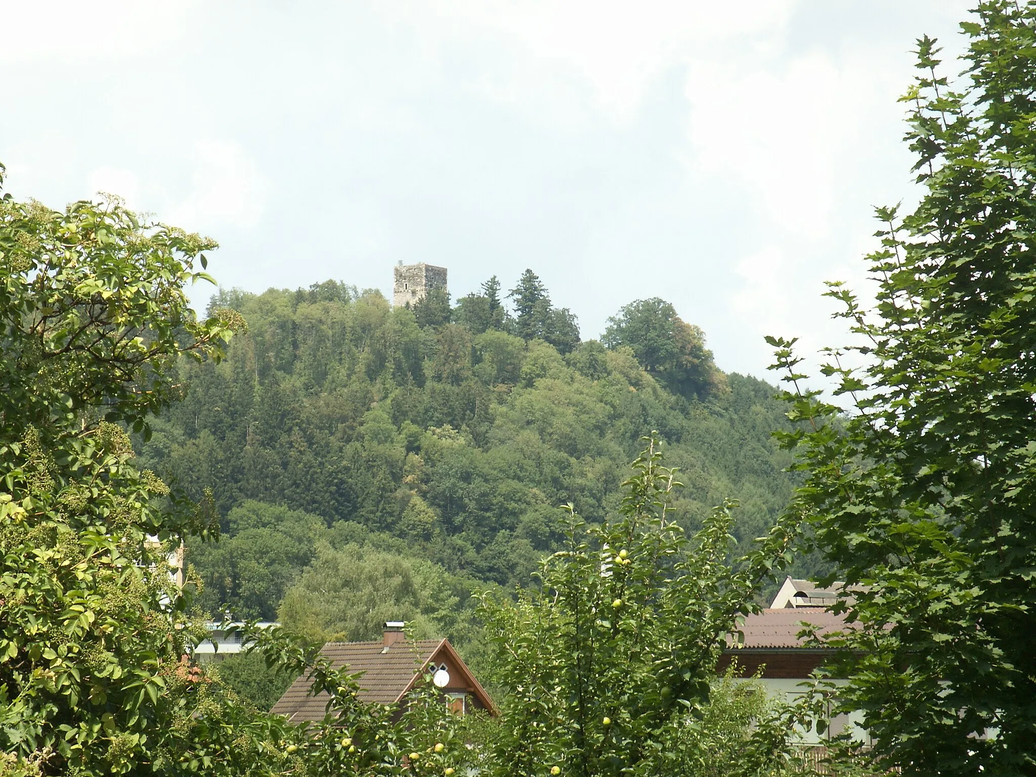 Photo showing: Tostner Burg, Feldkirch-Tosters

This media shows the protected monument with the number 88009 in Austria. (Commons, de, Wikidata)