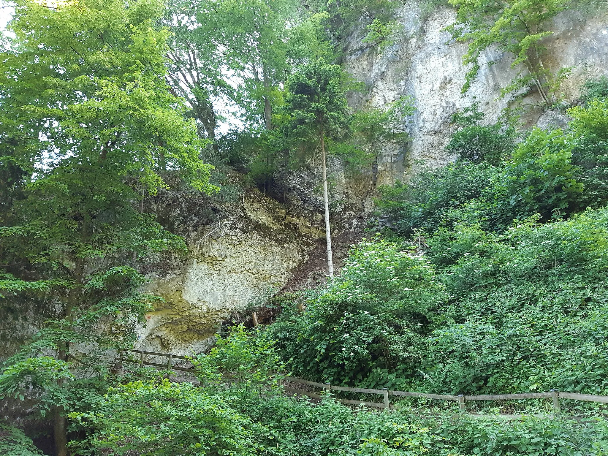 Photo showing: The Fallenkobelweg (hiking path, also: Fallakobelweg) leads from 412 m above sea level in the municipality of Hohenems via the municipal area from Altach to Götzis (537 m above sea level).