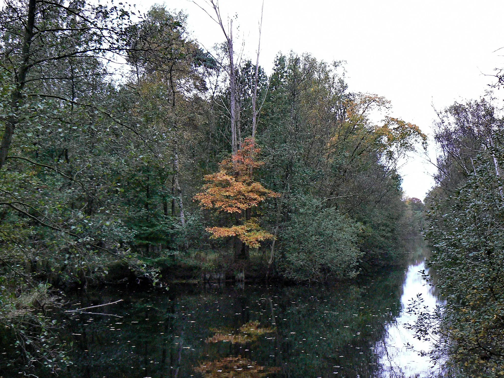 Photo showing: Antitankgracht, De Inslag, Brasschaat (Belgium)