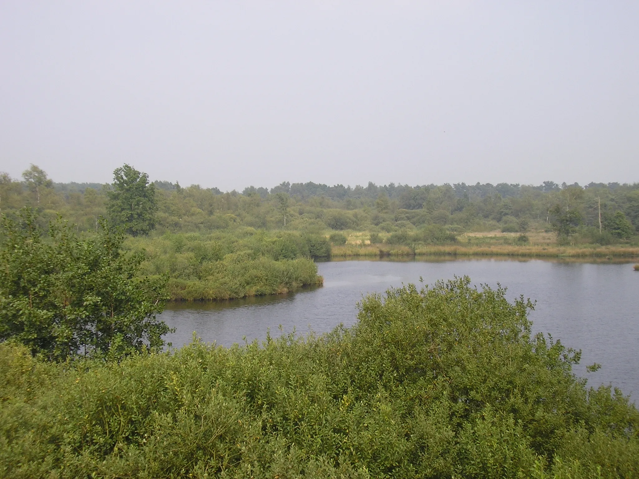 Photo showing: Een foto van natuurdomein de Liereman in Oud-Turnhout. Het is 'n foto die ikzelf gemaakt heb.