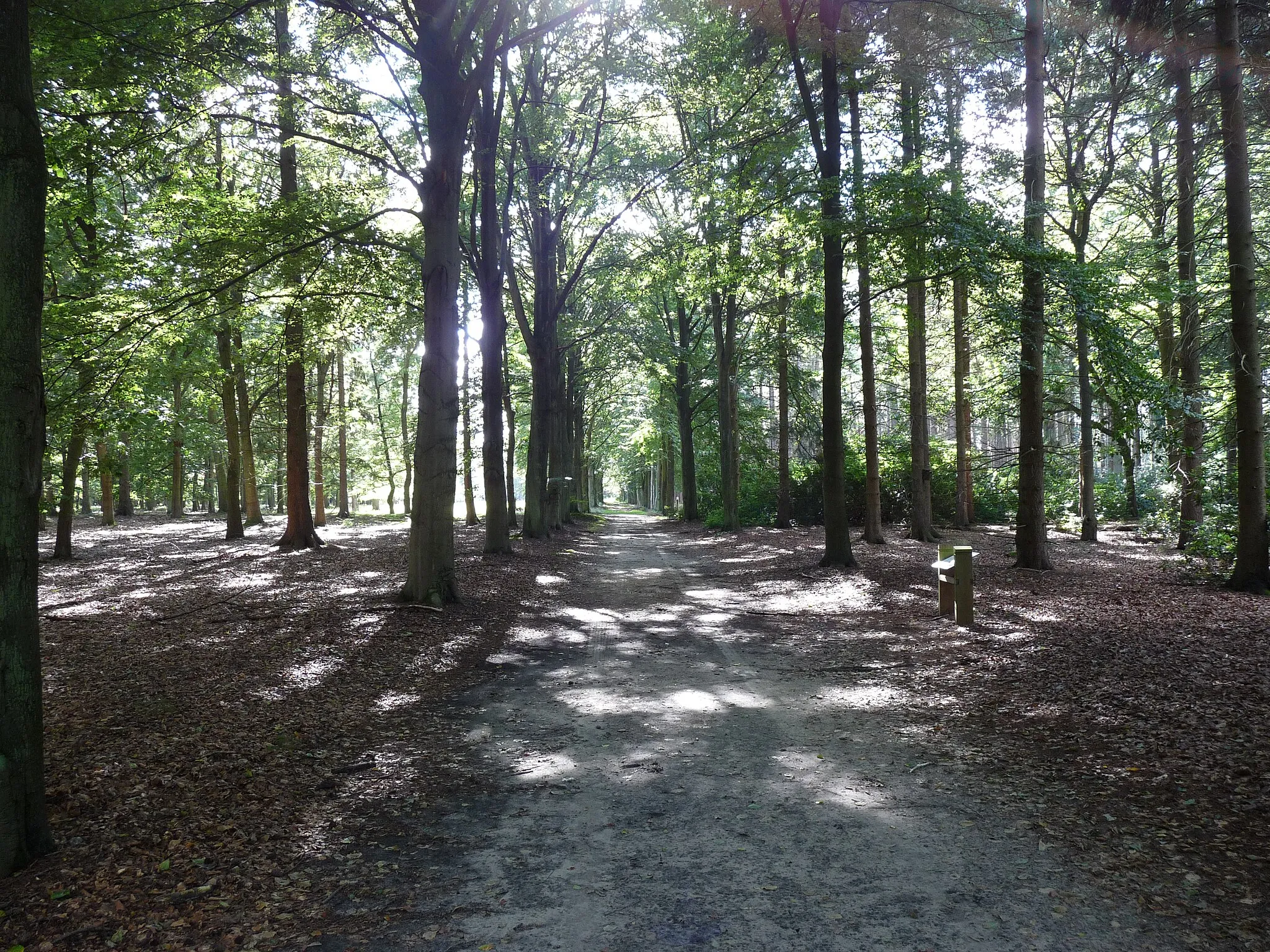 Photo showing: Natuur/wandelgebied in Kapellen