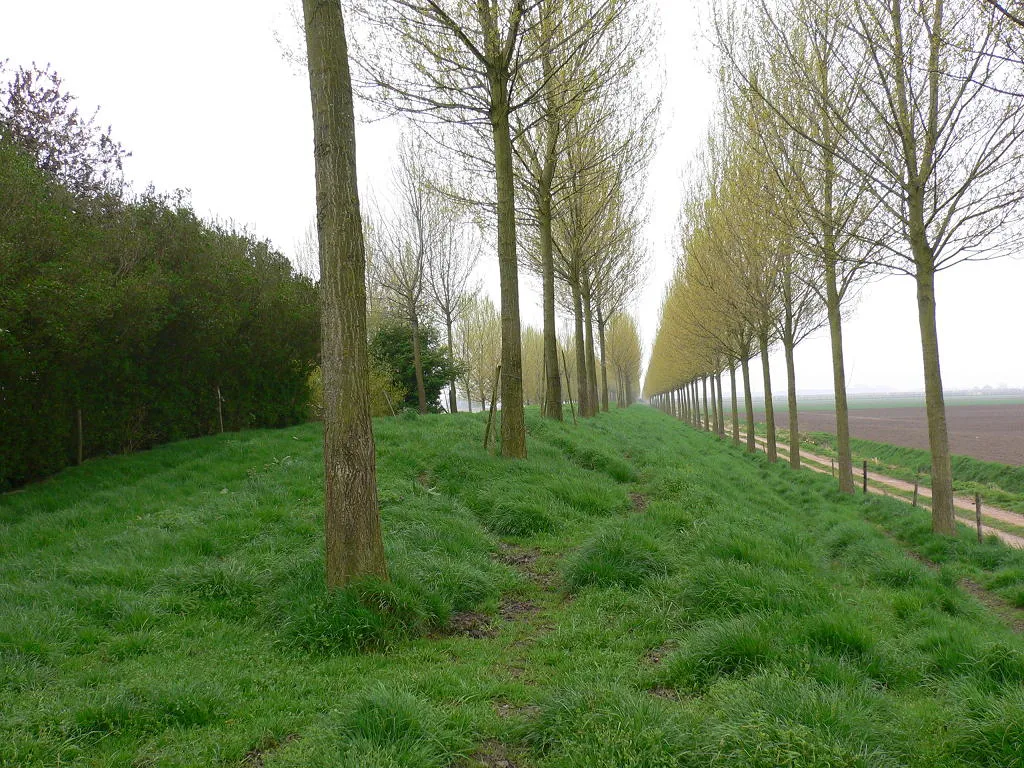 Photo showing: Koningsdijk, zijaanzicht