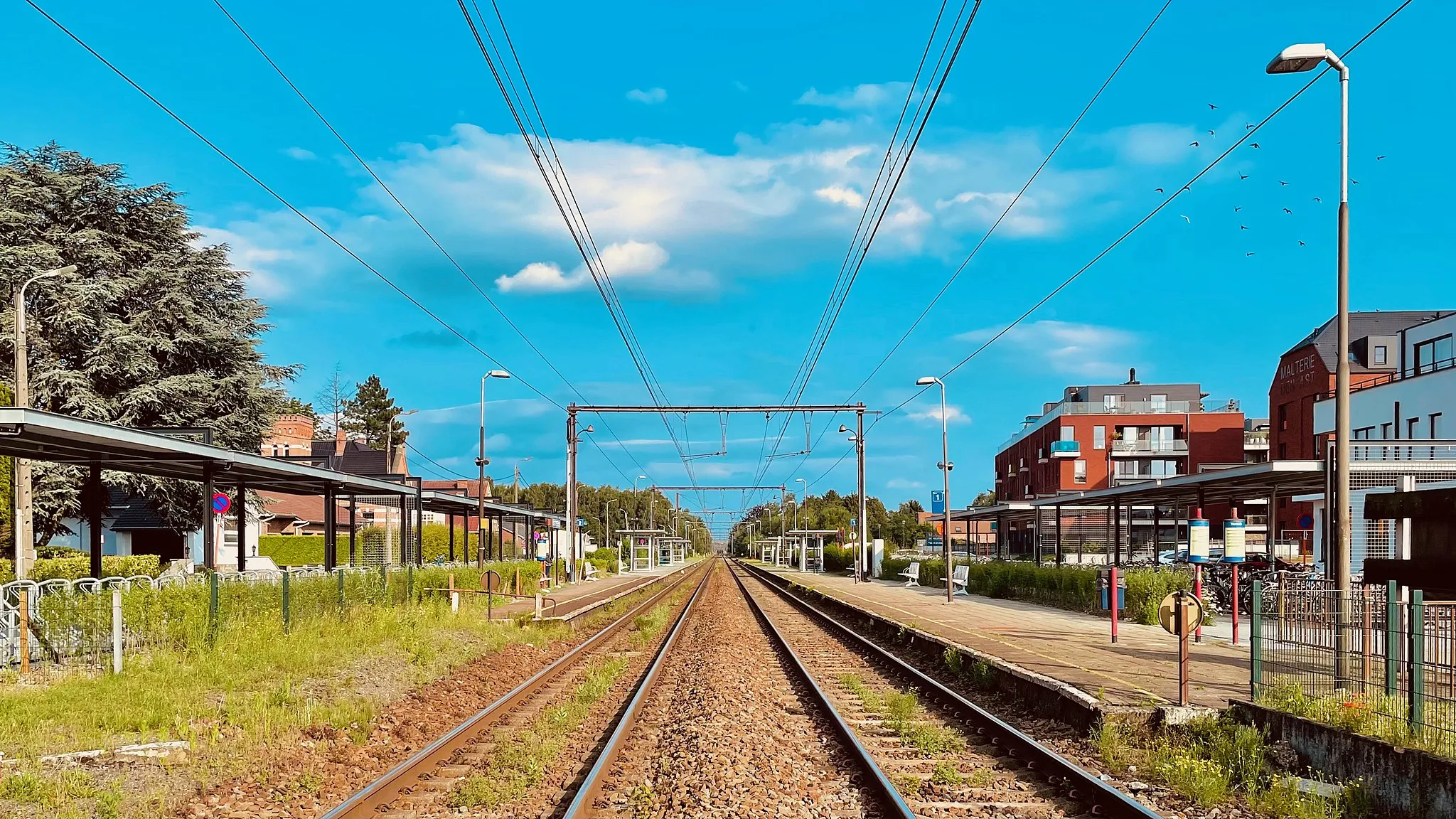 Photo showing: Station Boortmeerbeek Sporen