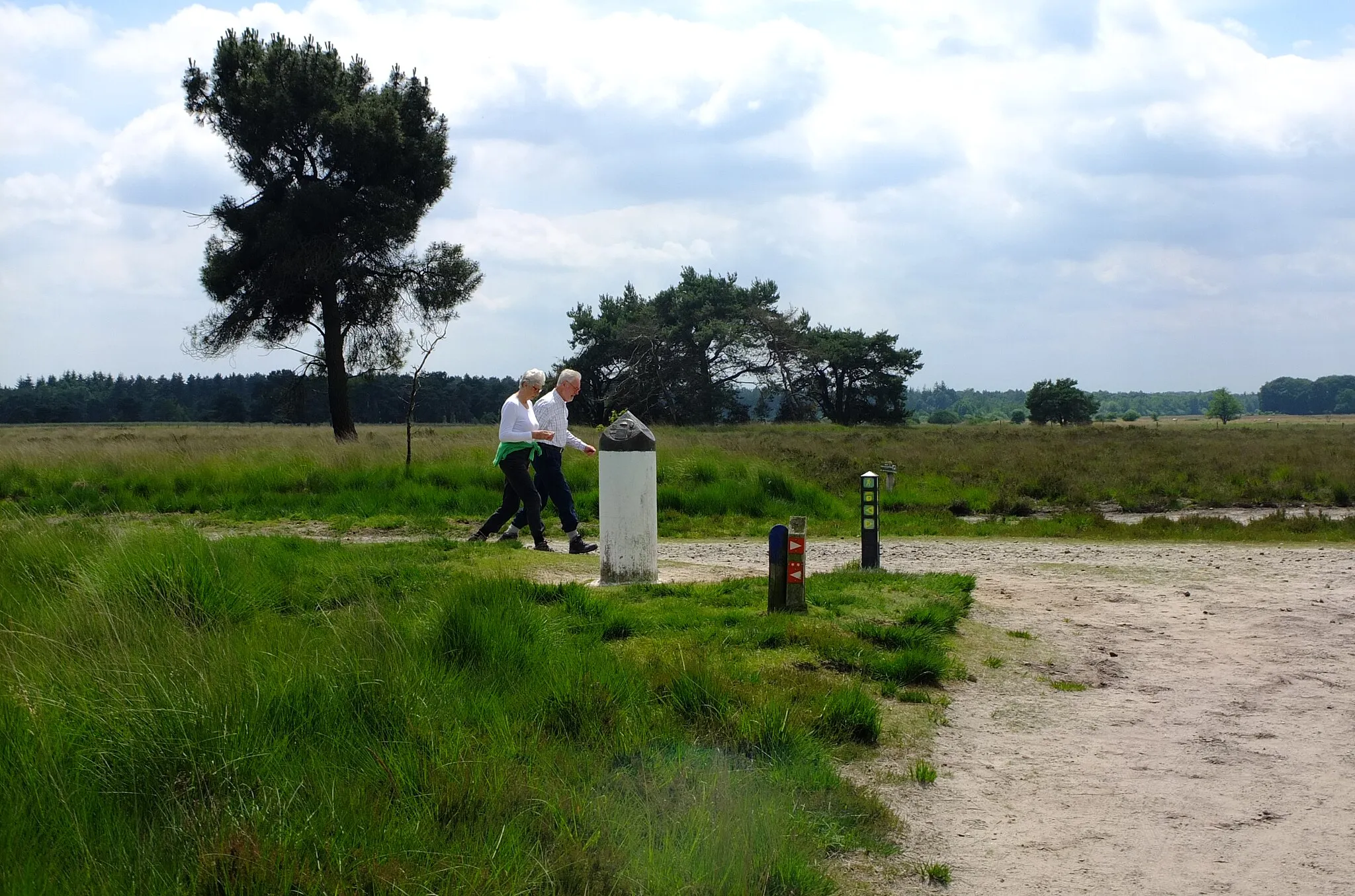 Photo showing: Zicht op een deel van de Regte Heide