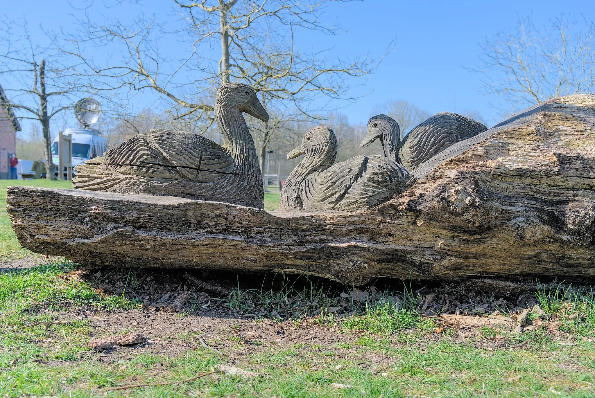 Photo showing: Ducks carved on a log in the Blaasveldbroek nature reserve (Willebroek, Belgium). Sculpture by Leo Beterams