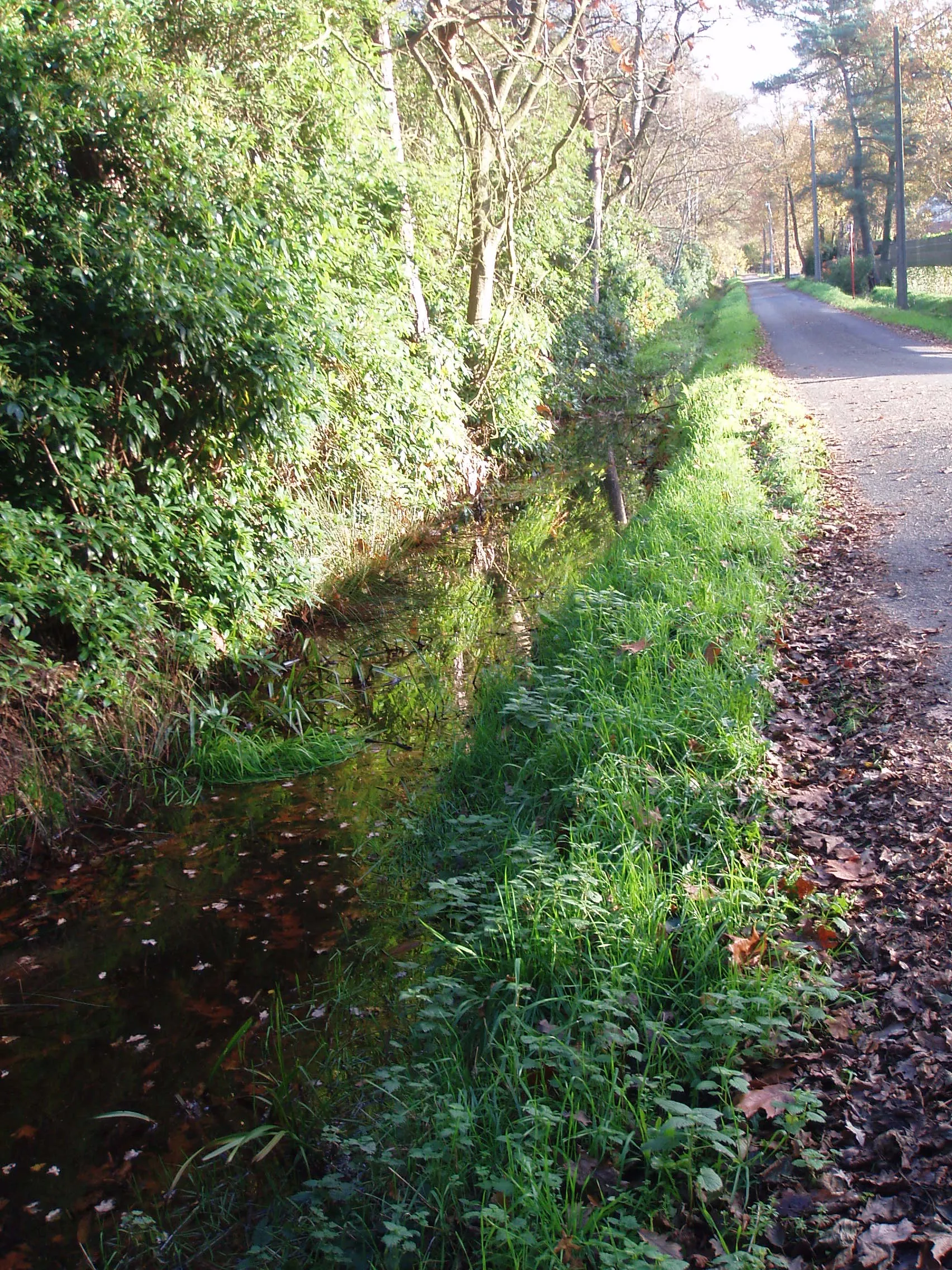 Photo showing: Bossnepbeek Oostmalle