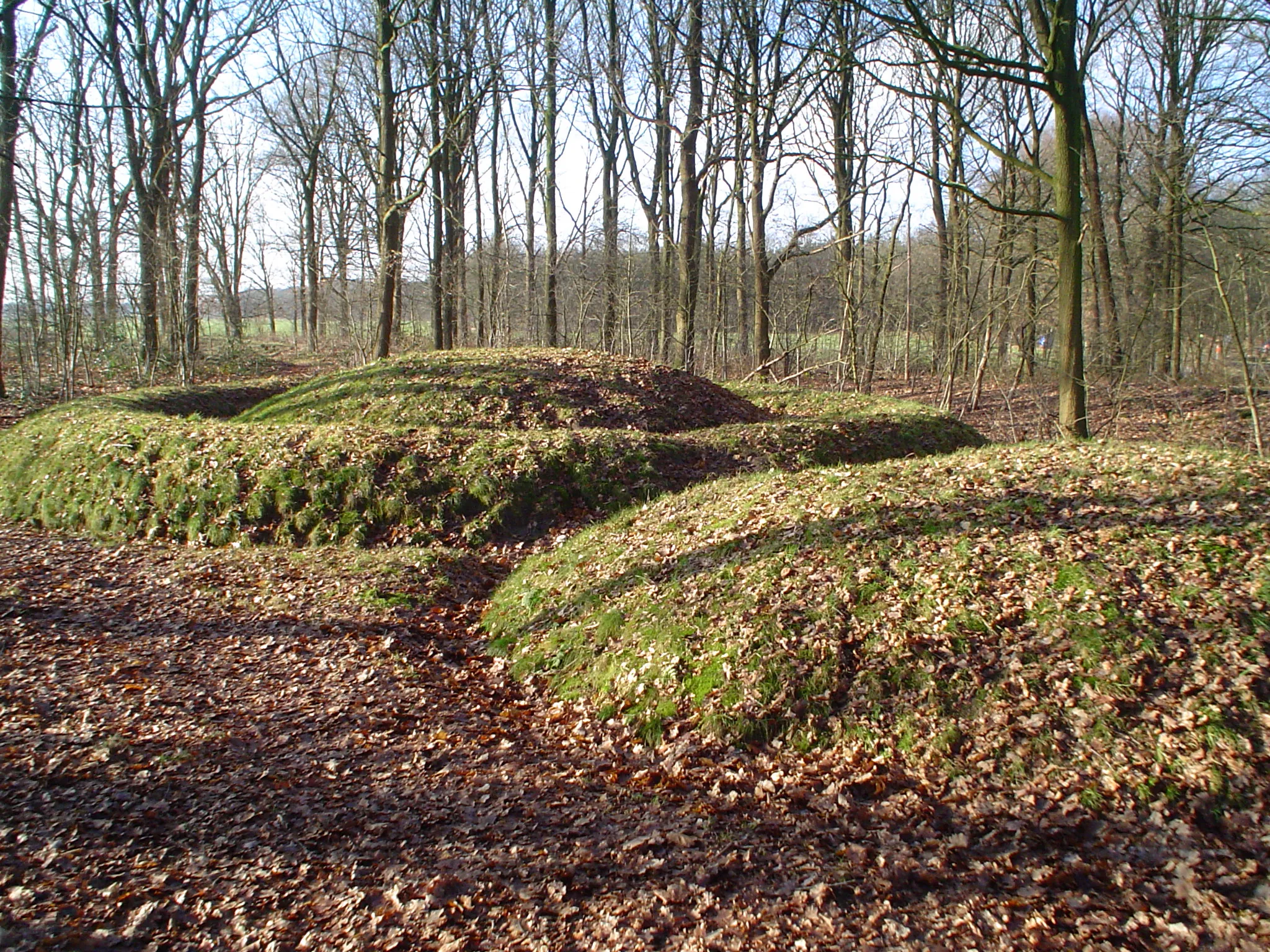 Photo showing: Een ringwalgrafheuvel, Vroege Bronstijd ca. 1350 v. Chr, nabij Toterfout in de gemeente Veldhoven.